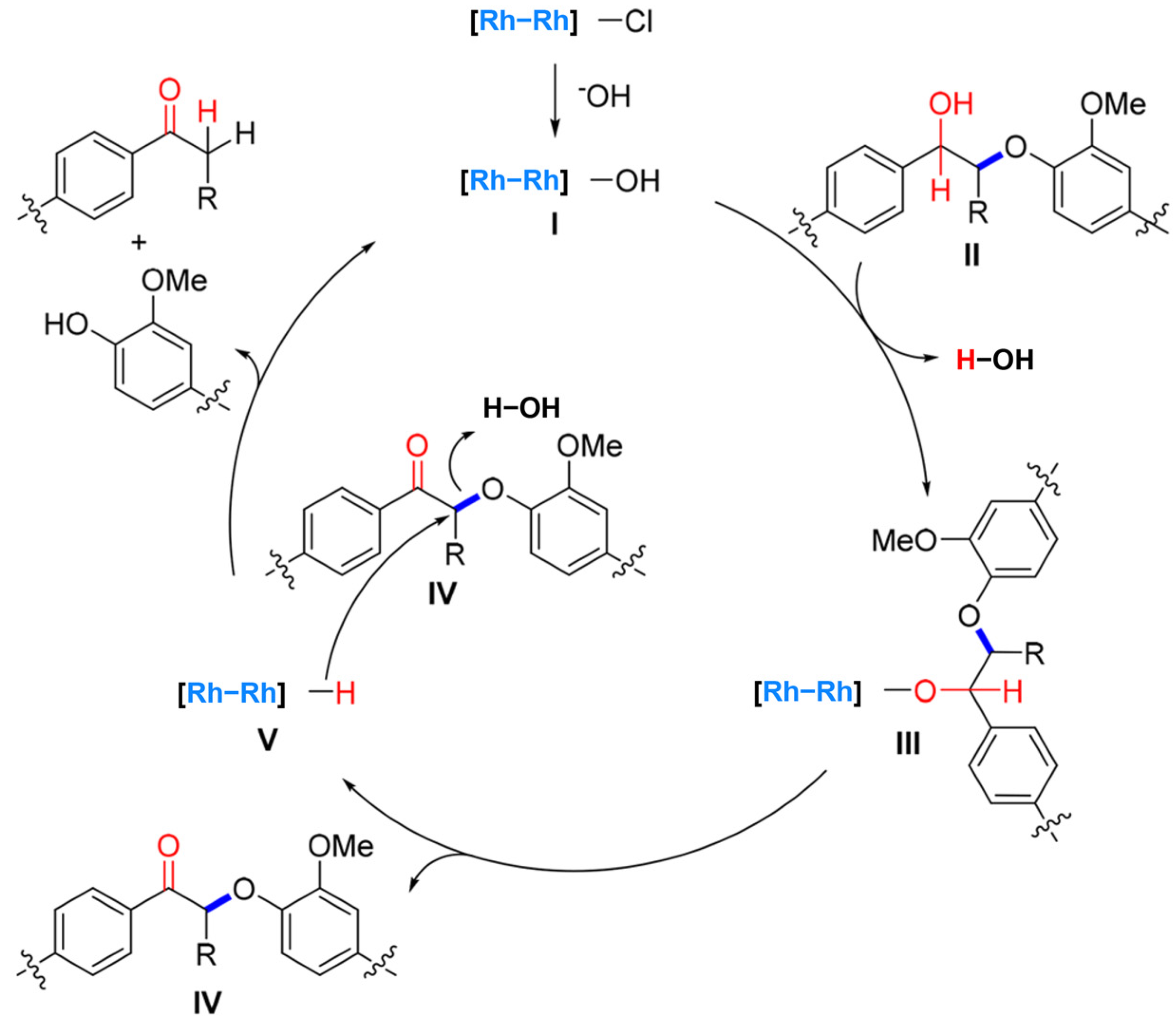 Catalysts 14 00673 g001