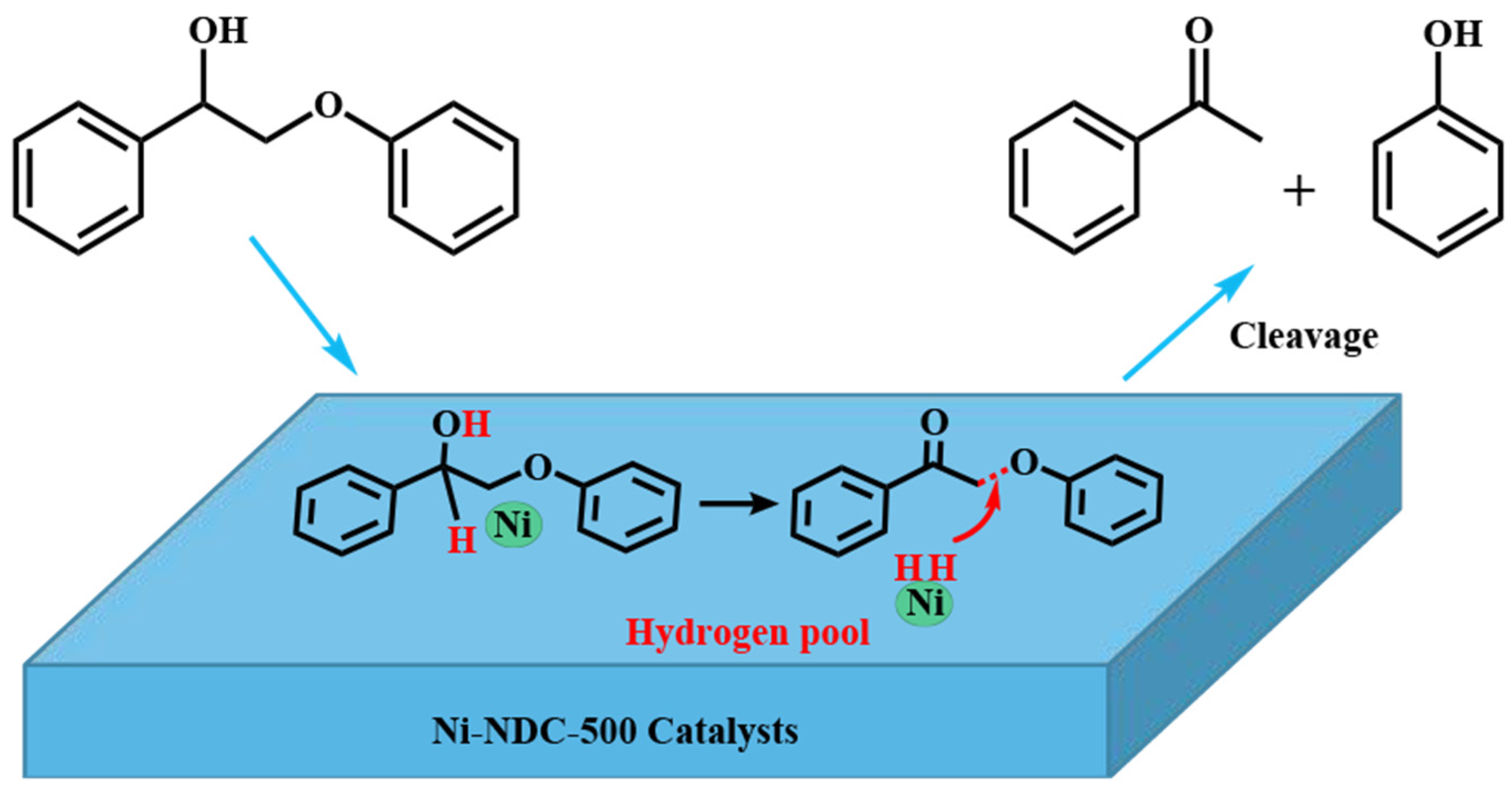Catalysts 14 00673 g002