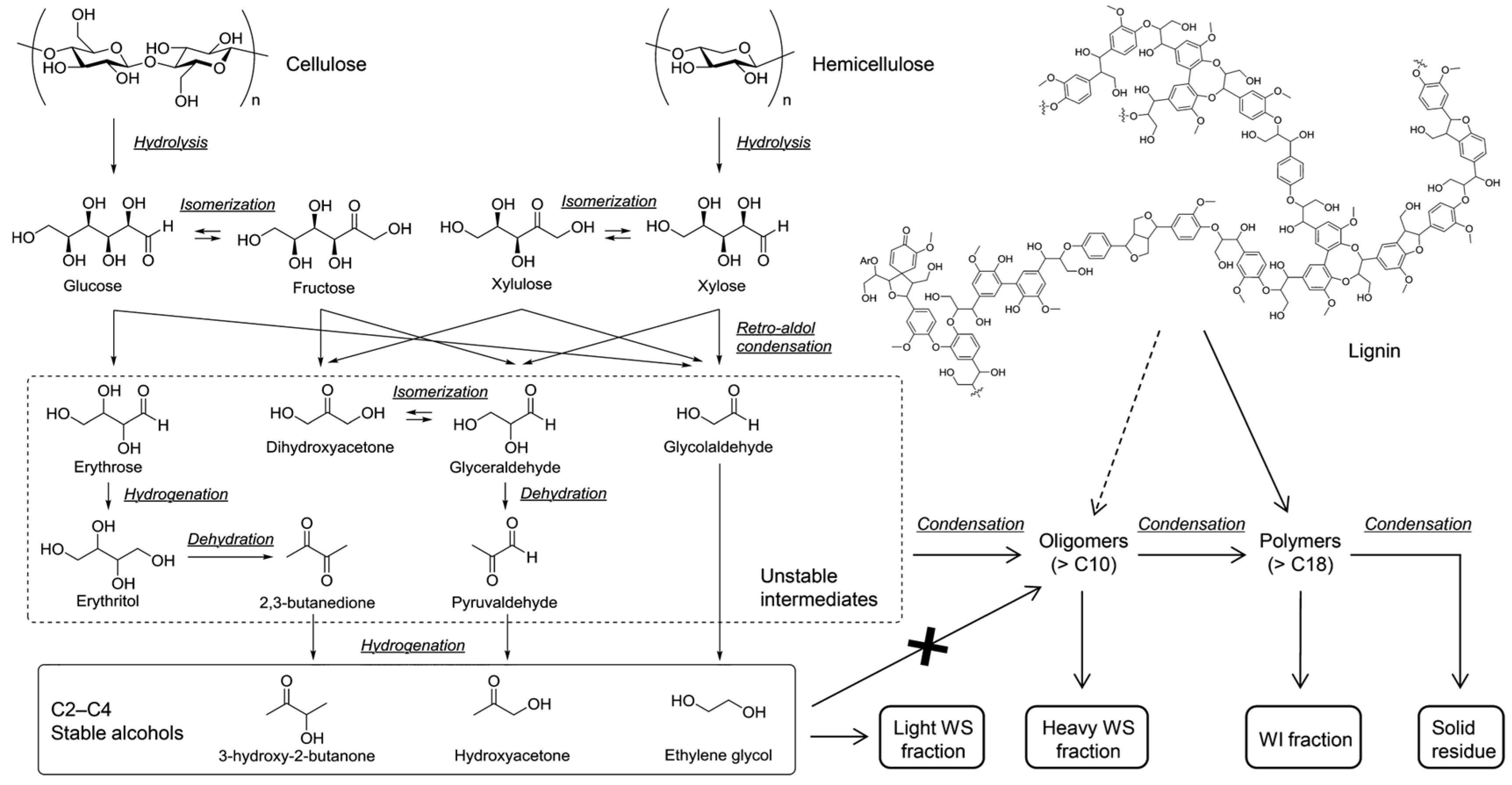 Catalysts 14 00673 g010