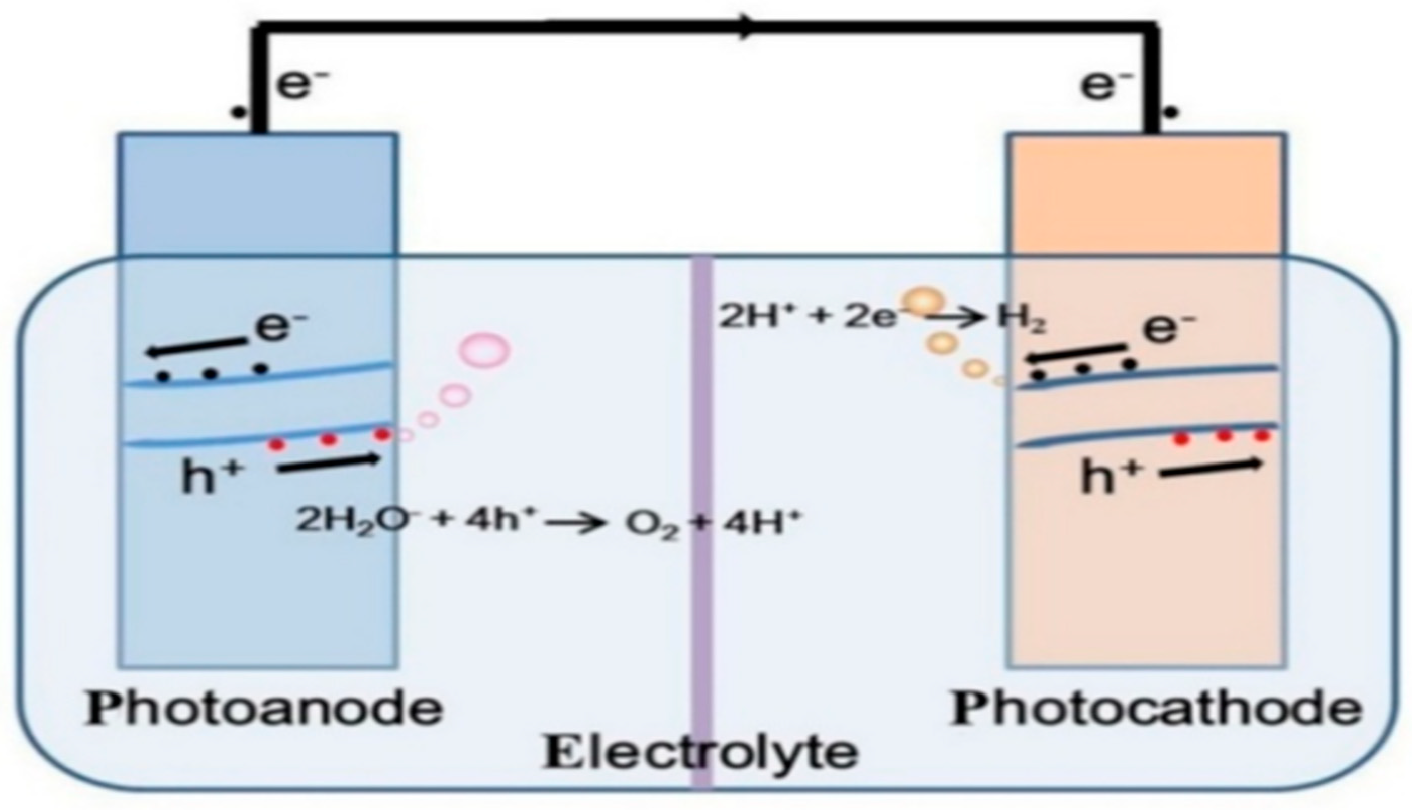 Catalysts 14 00674 g003