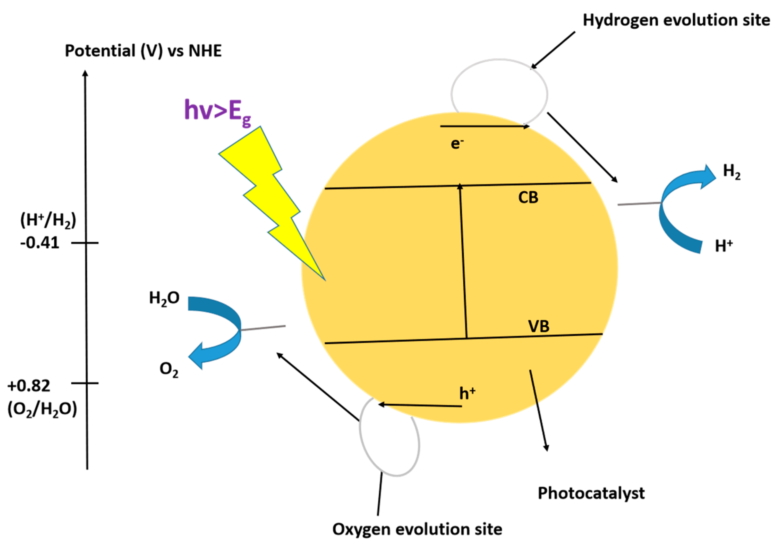 Catalysts 14 00674 g004