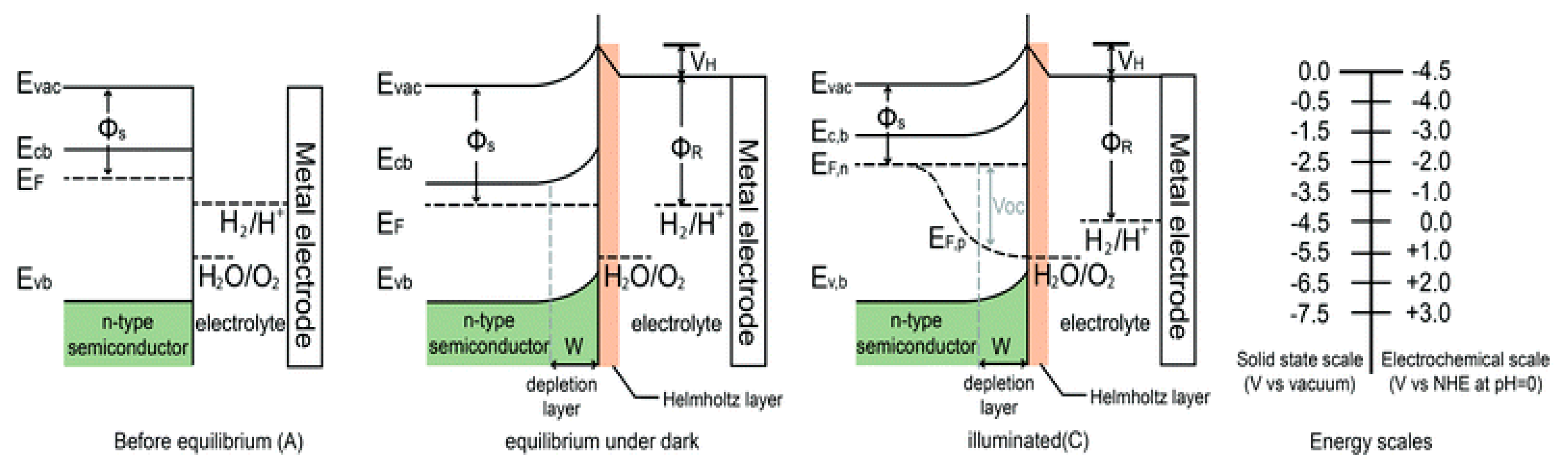 Catalysts 14 00674 g006