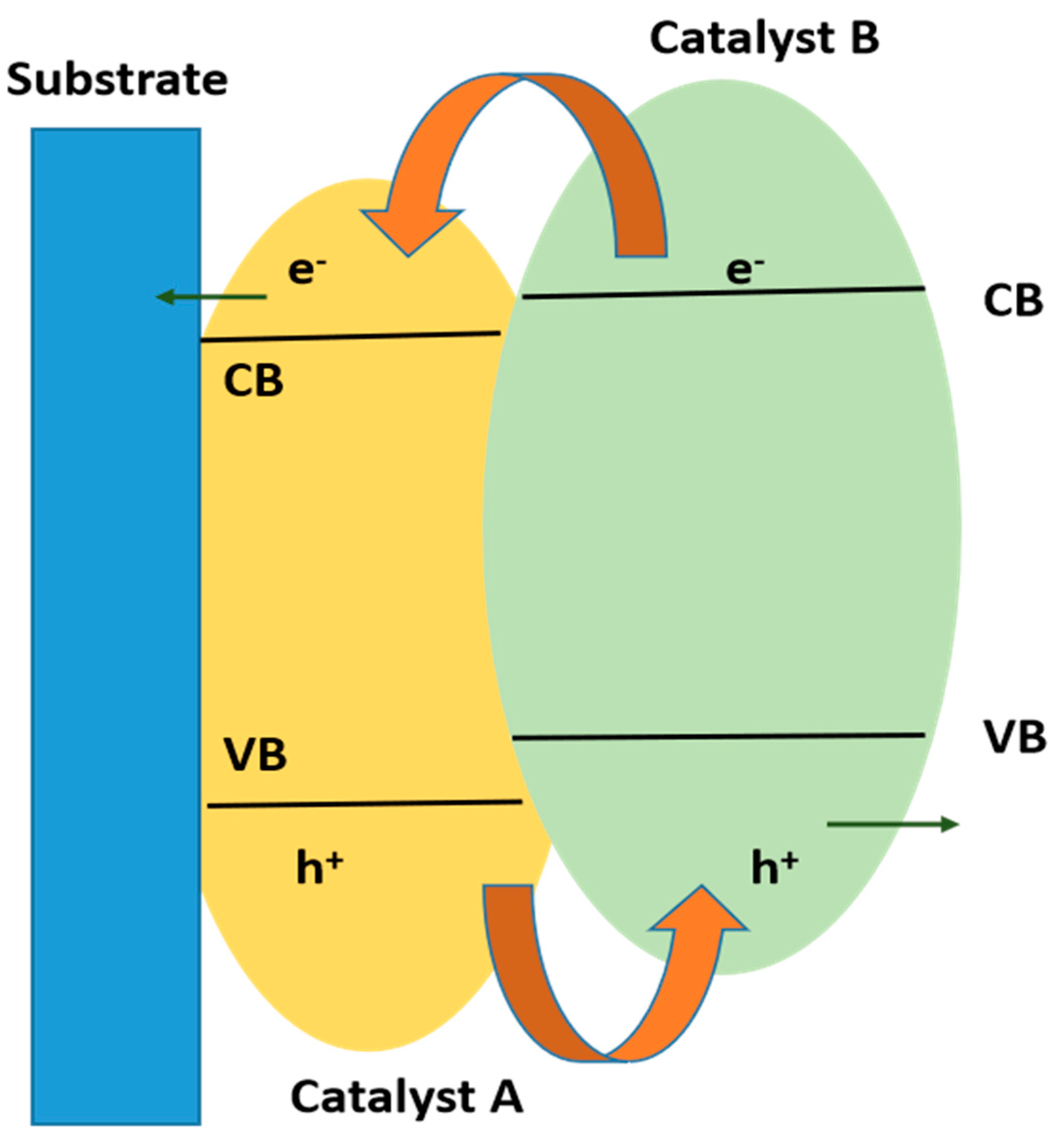 Catalysts 14 00674 g011