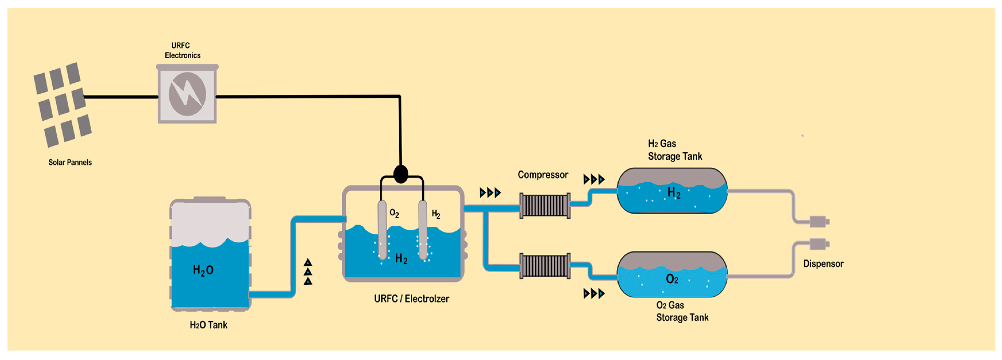 Catalysts 14 00674 g014