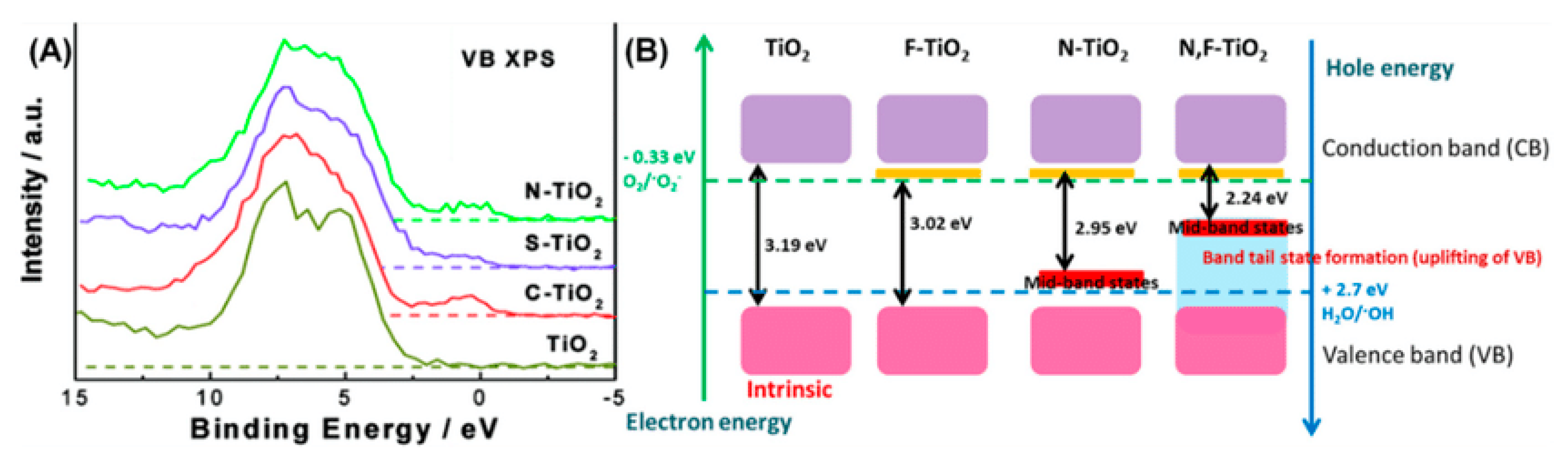 Catalysts 14 00674 g018