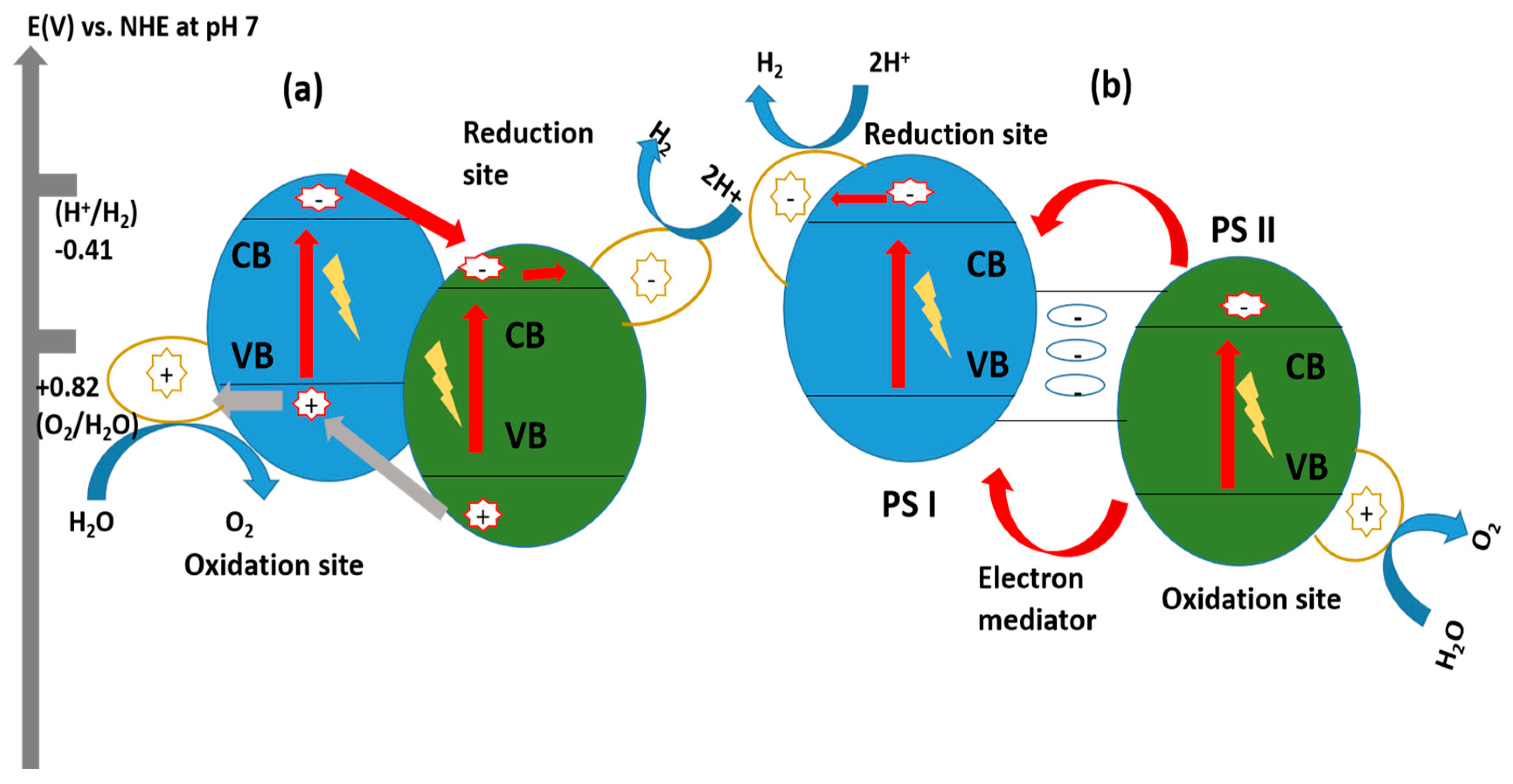 Catalysts 14 00674 g032