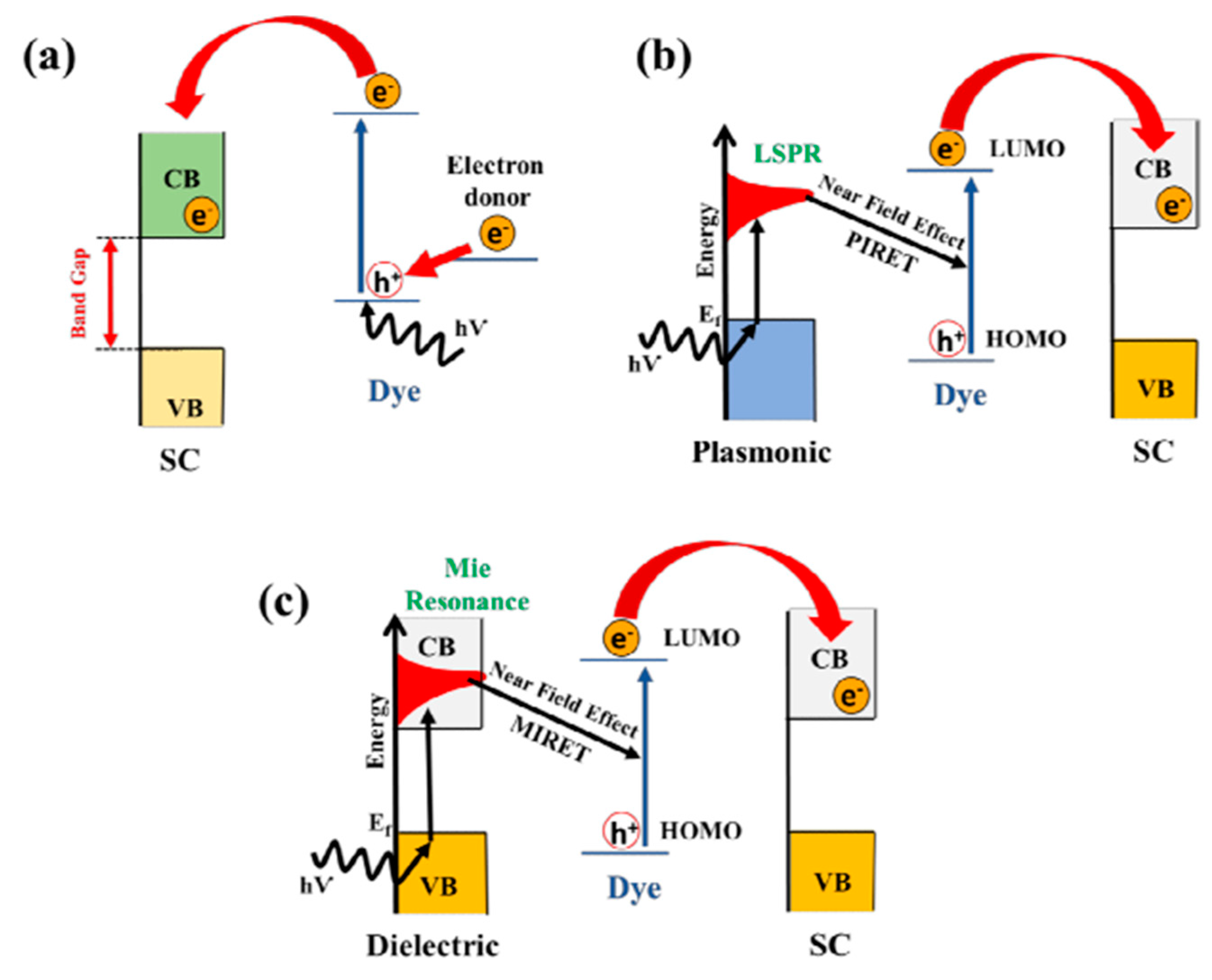 Catalysts 14 00674 g036