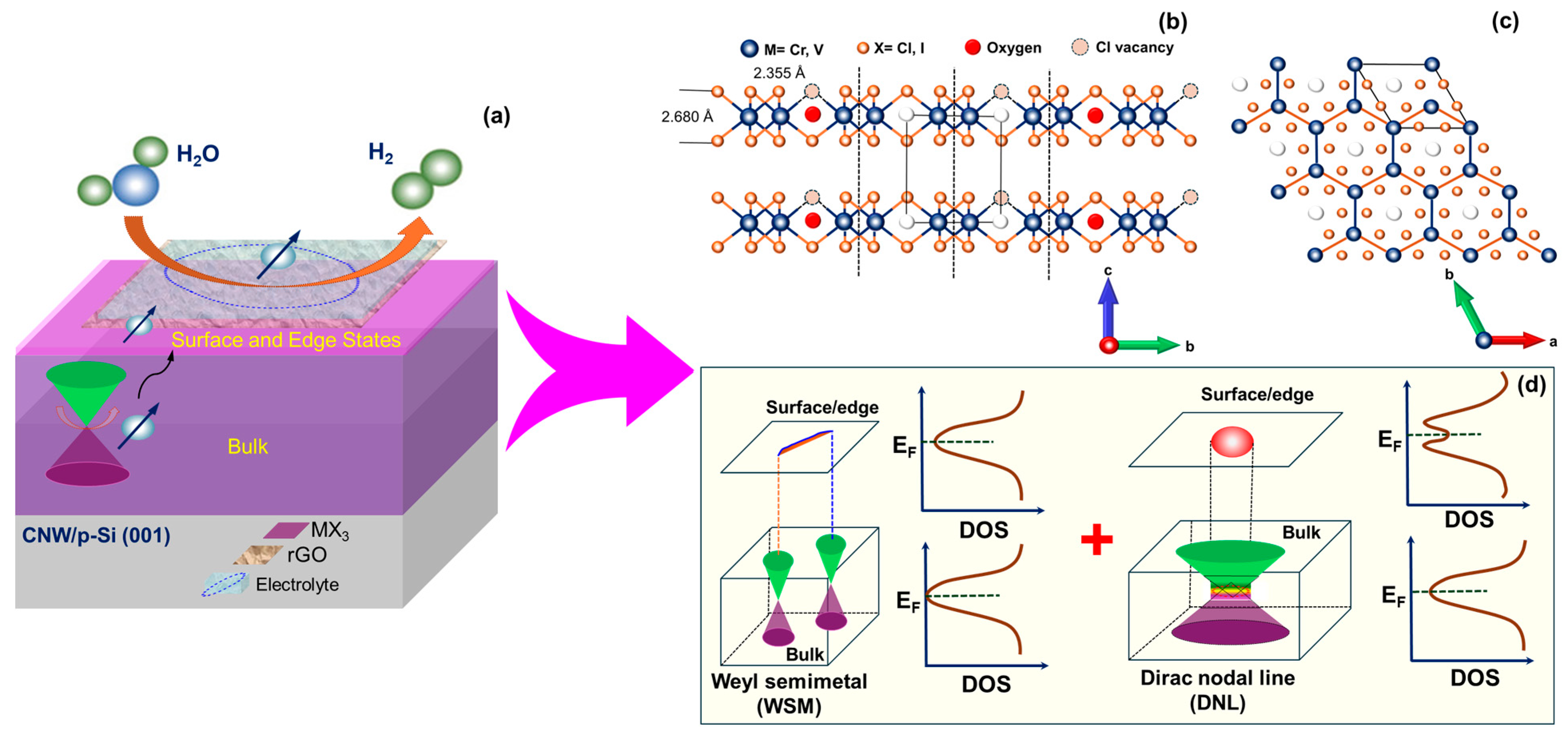 Catalysts 14 00676 g005