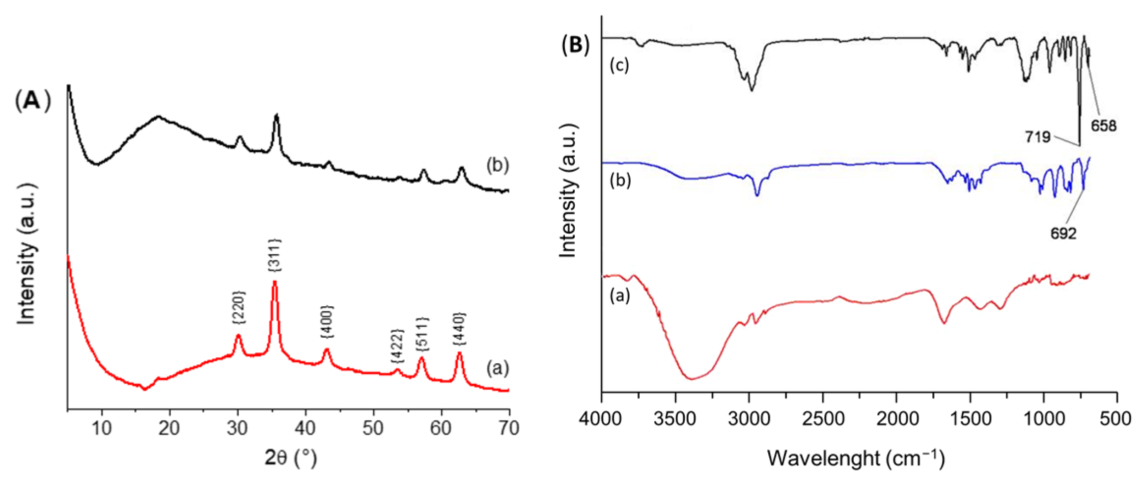 Catalysts 14 00677 g002