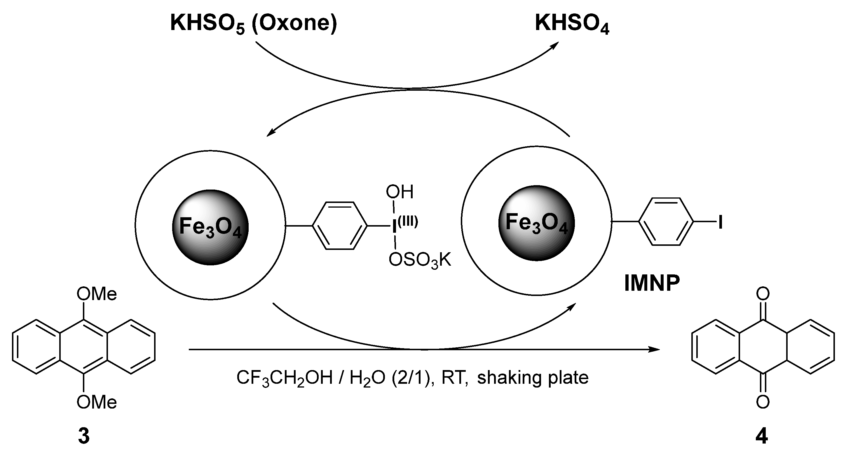 Catalysts 14 00677 sch003