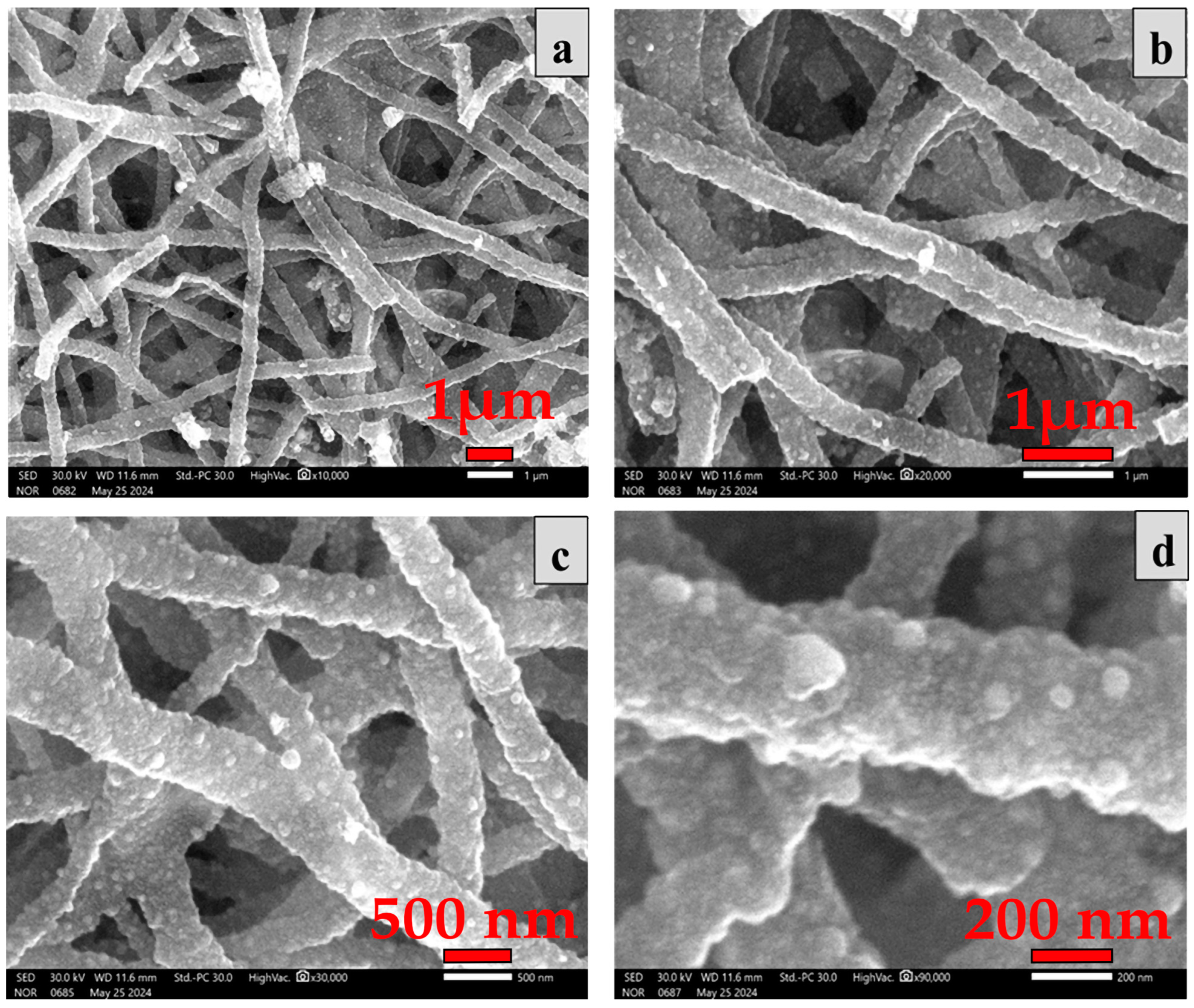 Catalysts 14 00680 g002