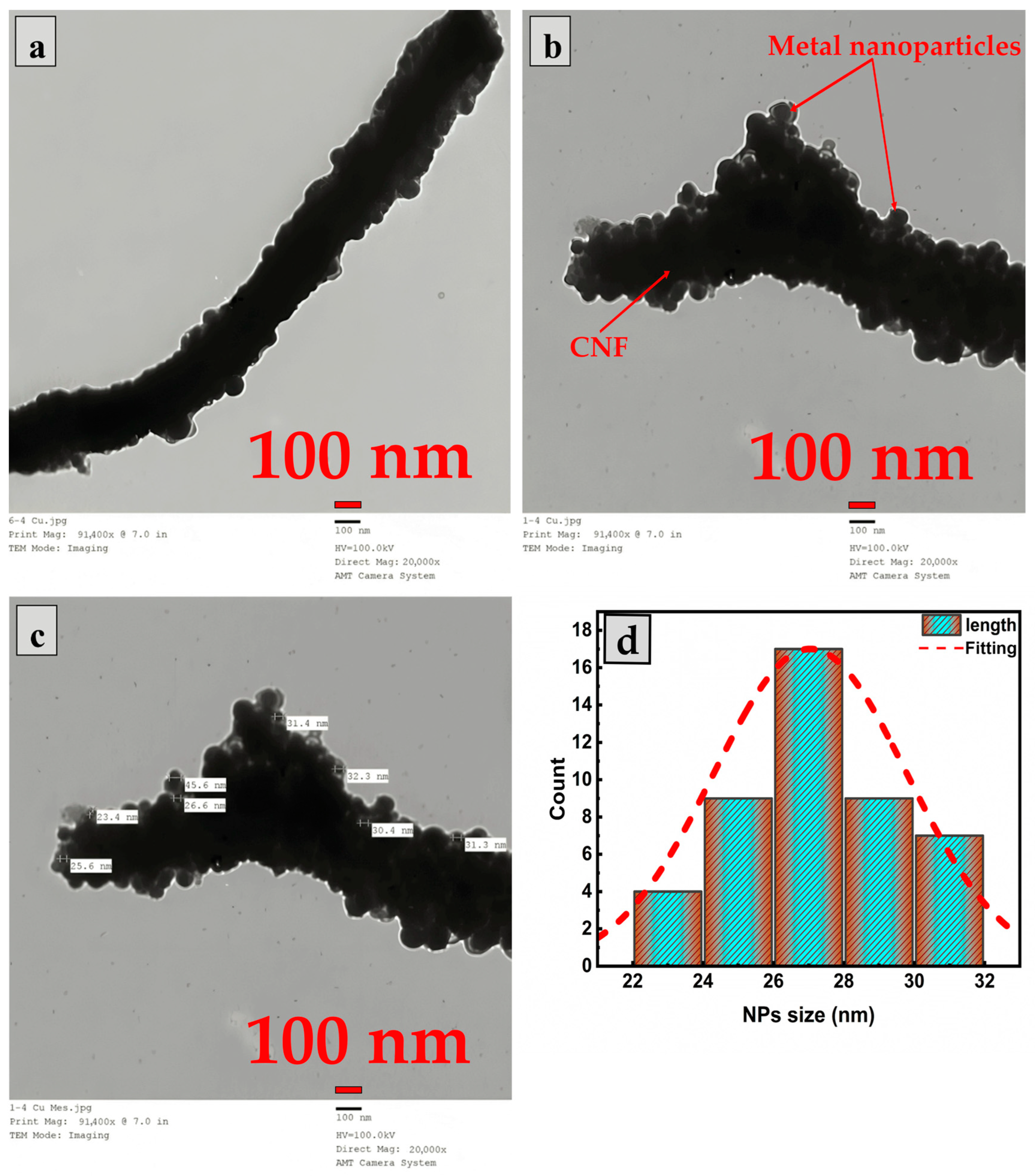 Catalysts 14 00680 g003