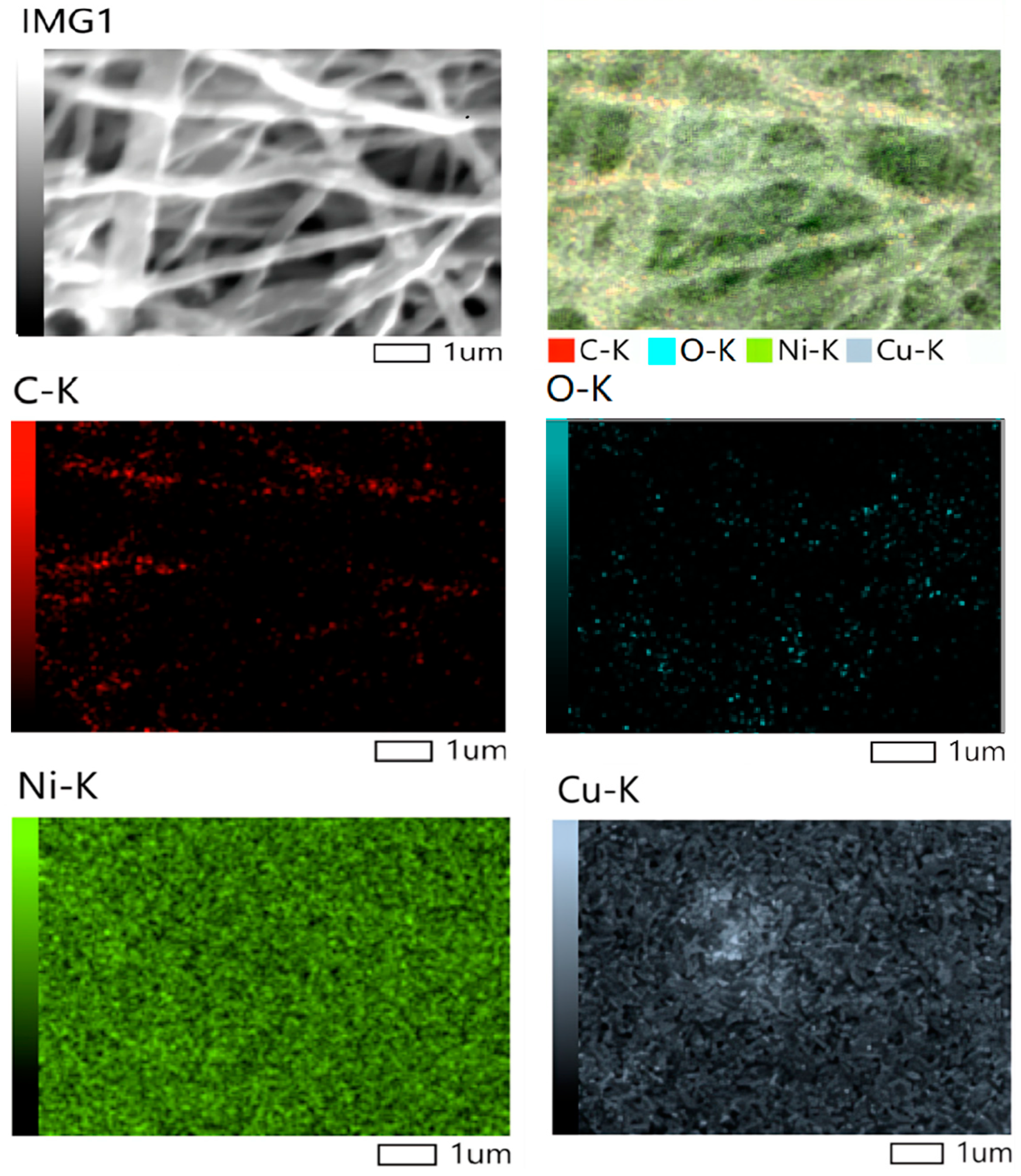Catalysts 14 00680 g004