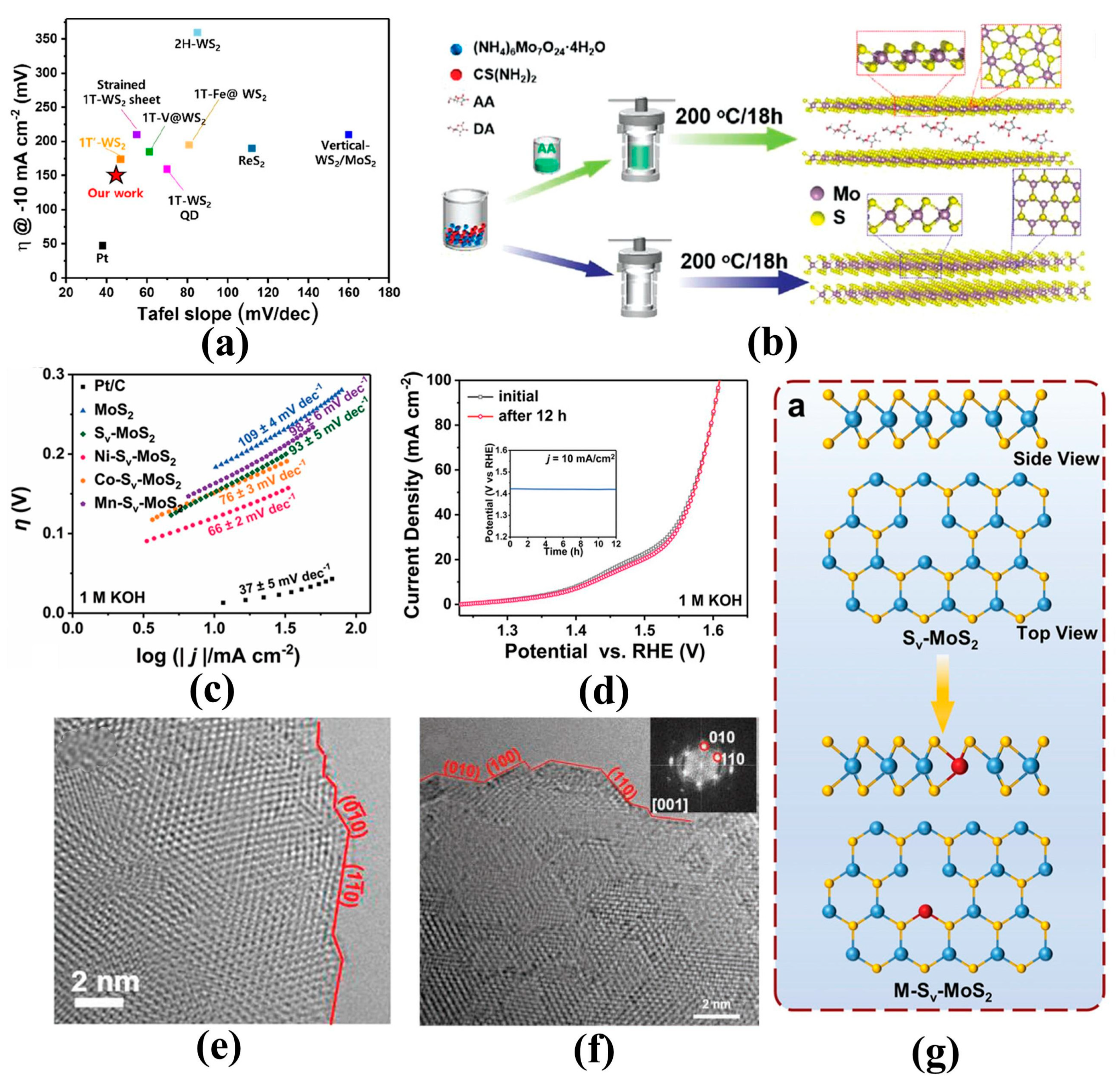 Catalysts 14 00689 g005