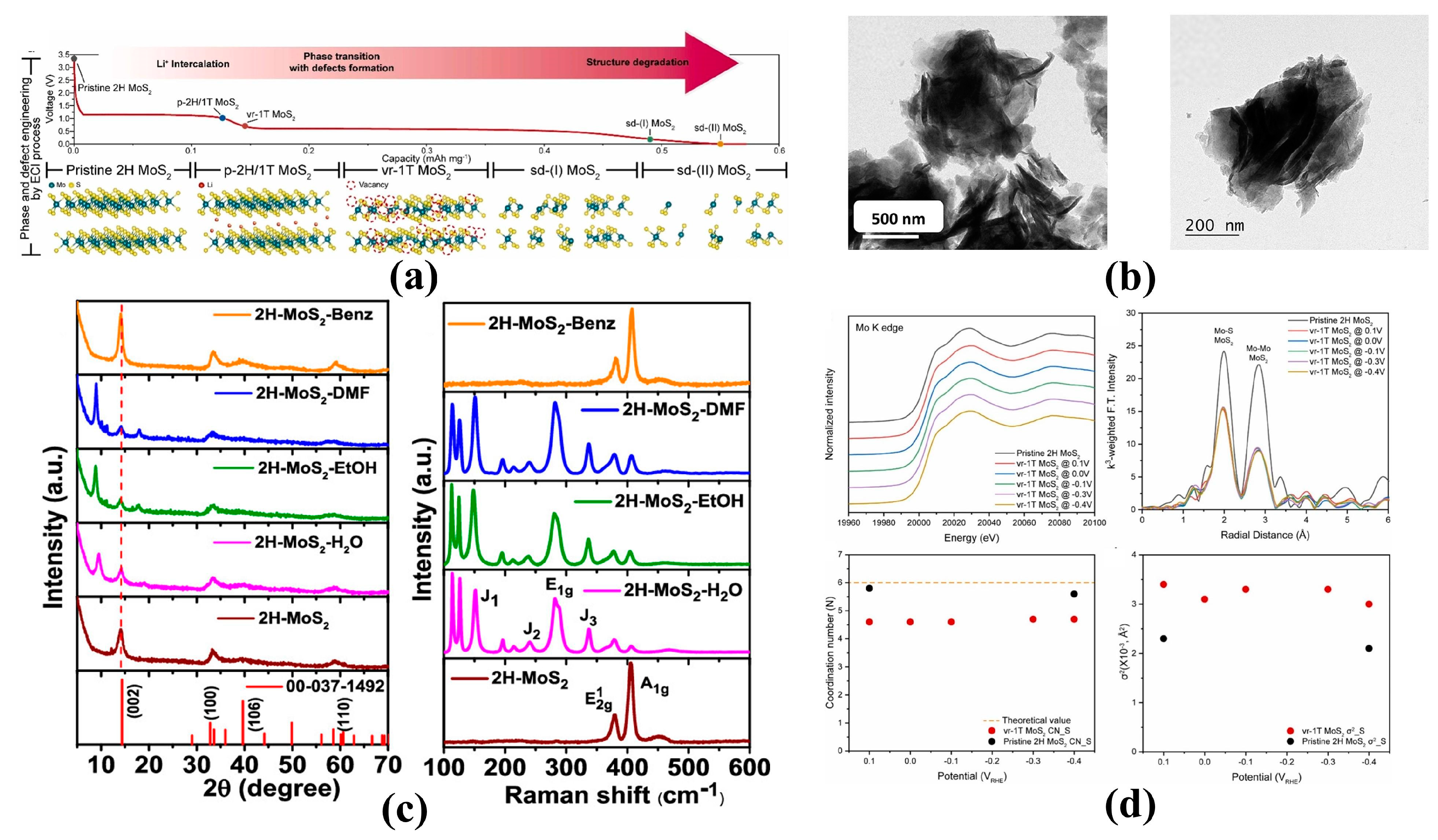 Catalysts 14 00689 g006