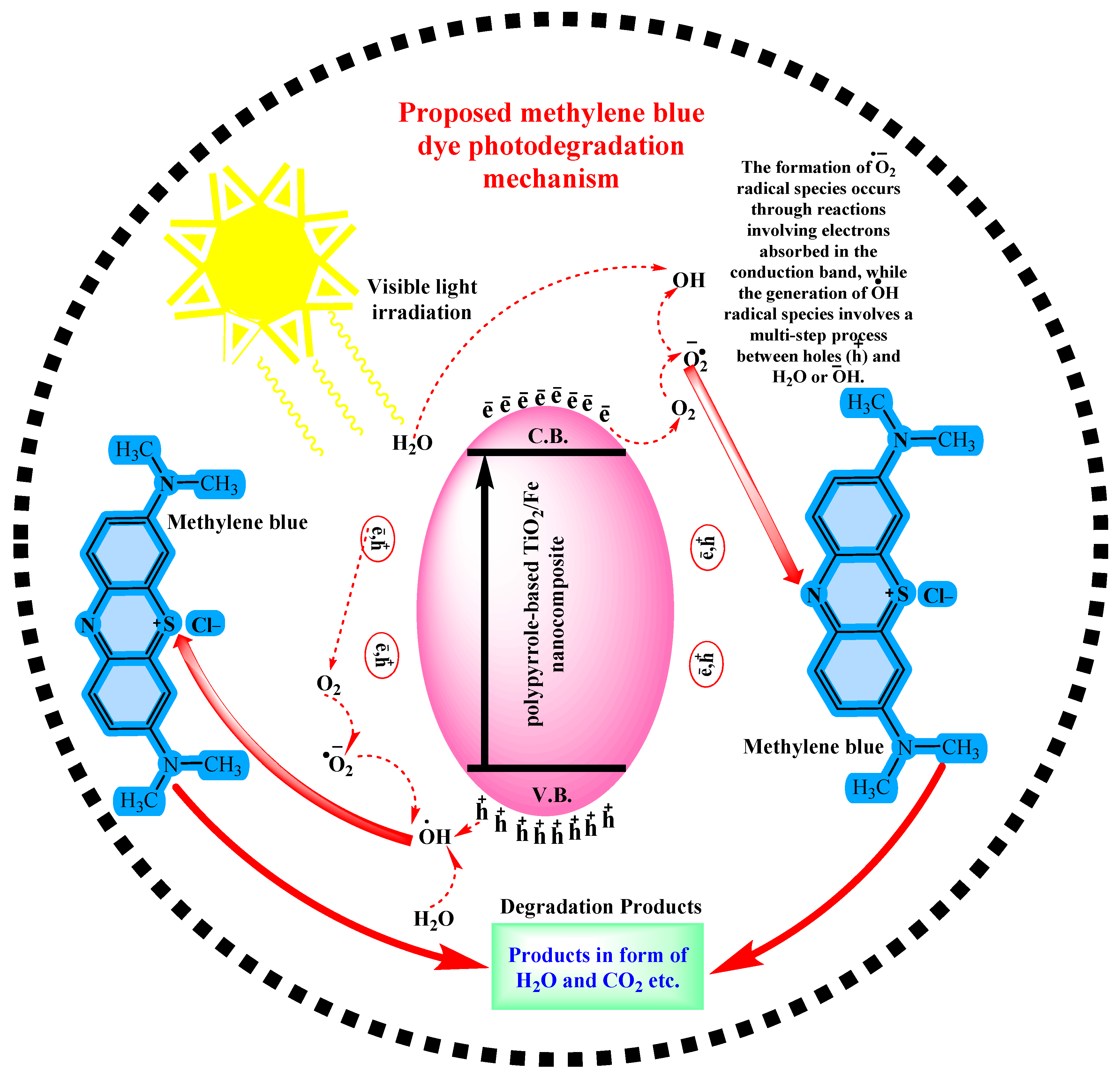 Catalysts 14 00692 g011