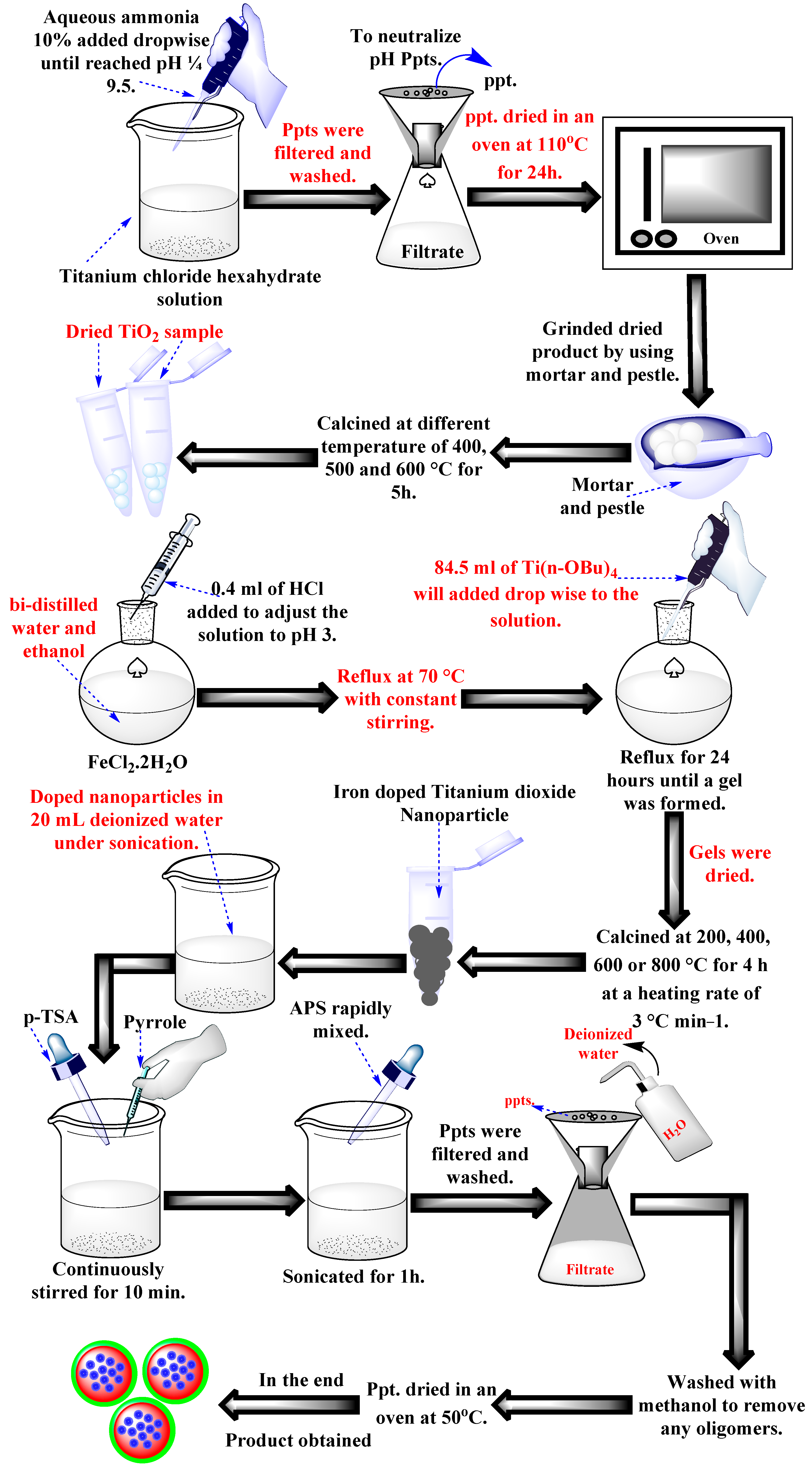 Catalysts 14 00692 g012