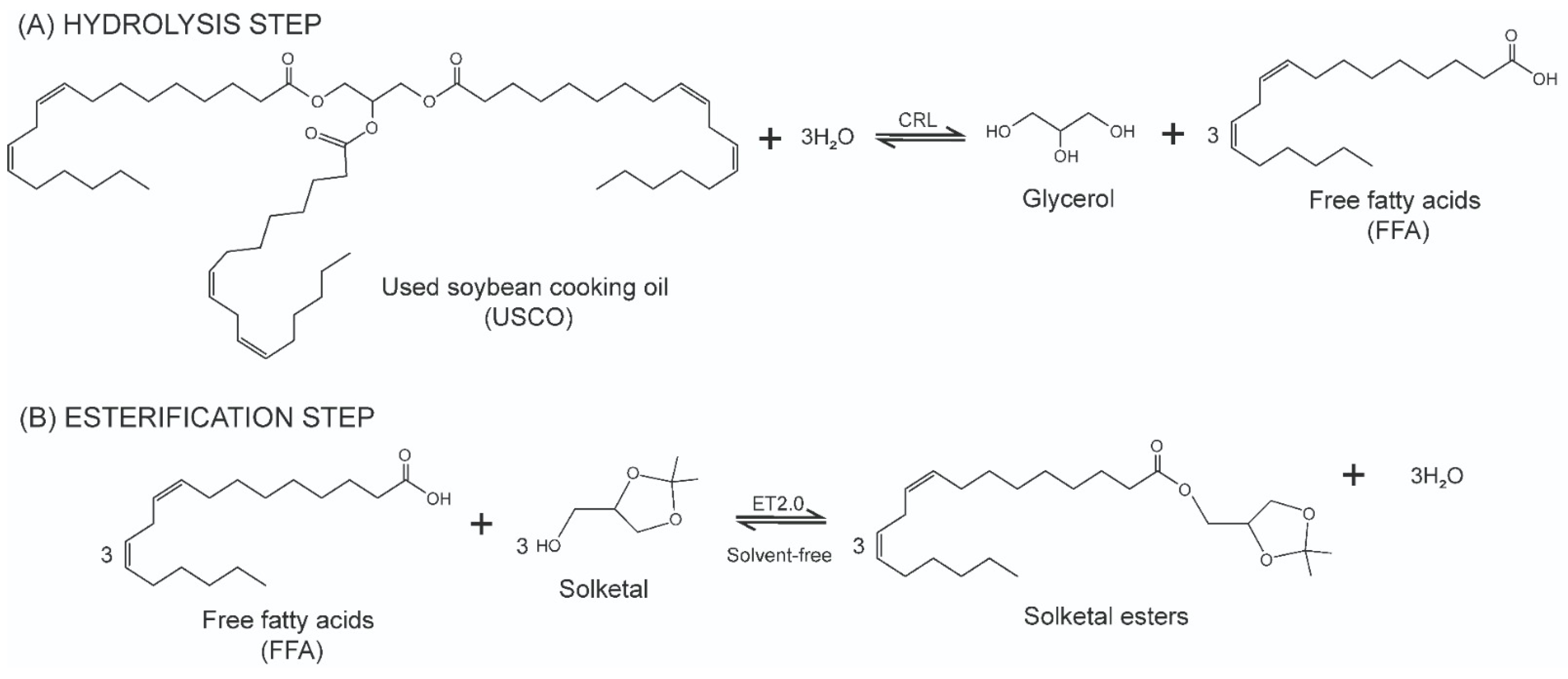 Catalysts 14 00693 g001