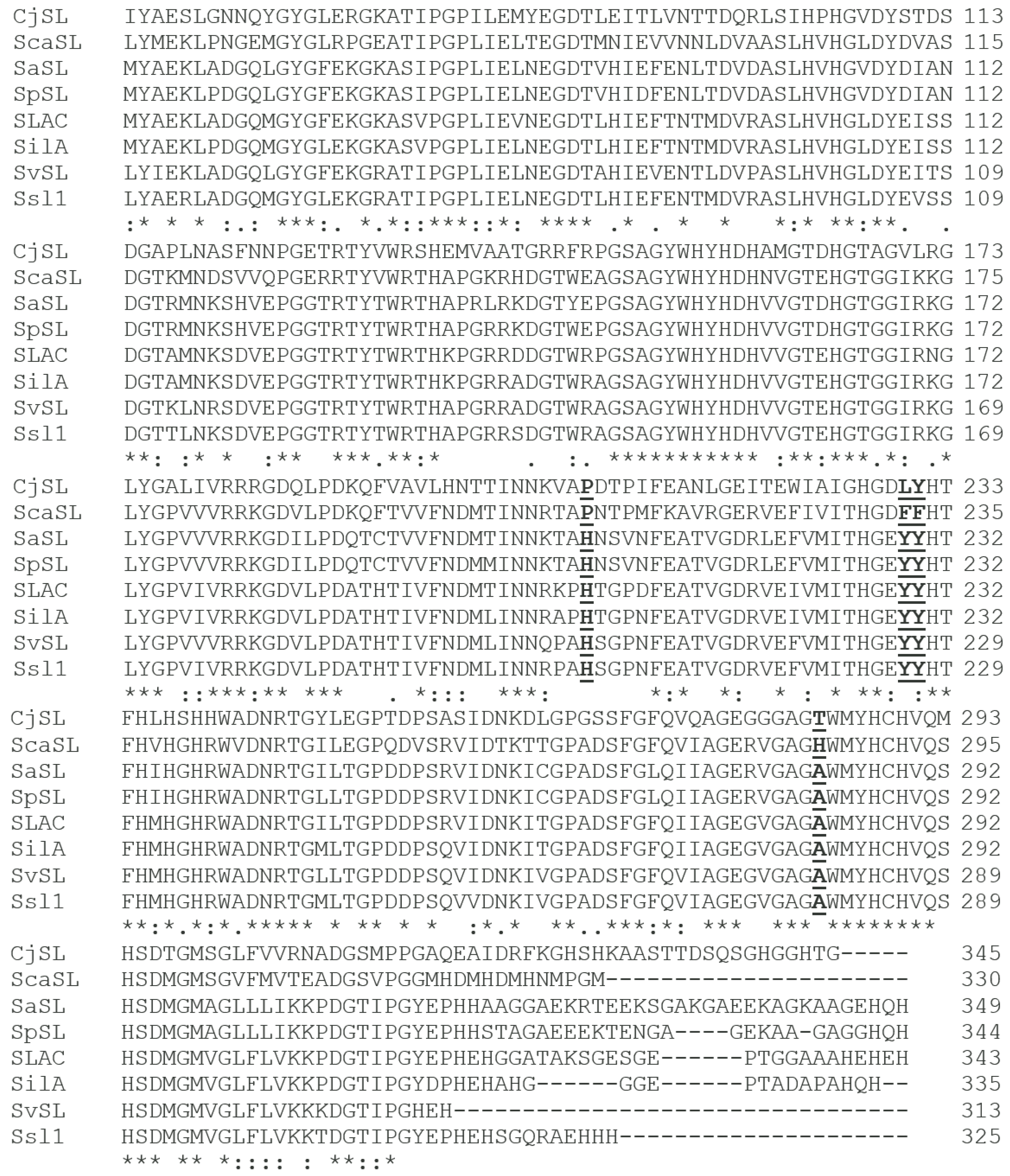 Catalysts 14 00694 g001
