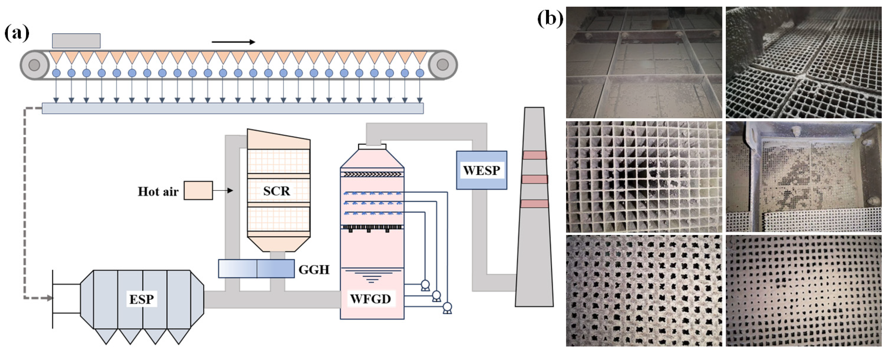 Catalysts 14 00698 g007