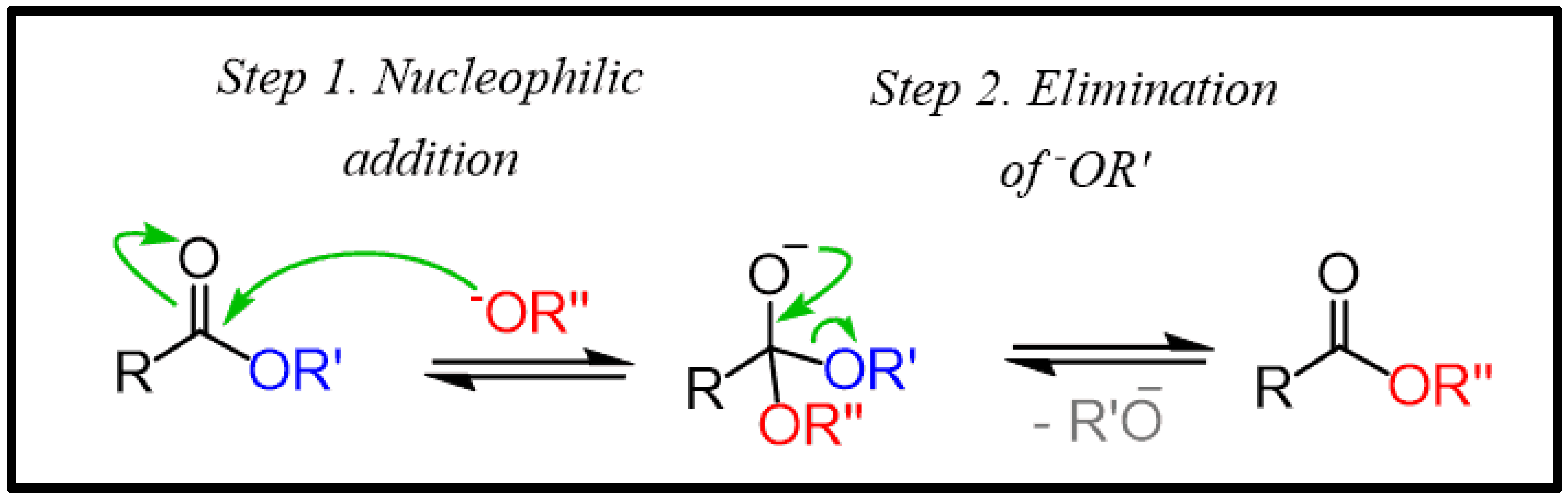 Catalysts 14 00701 g005