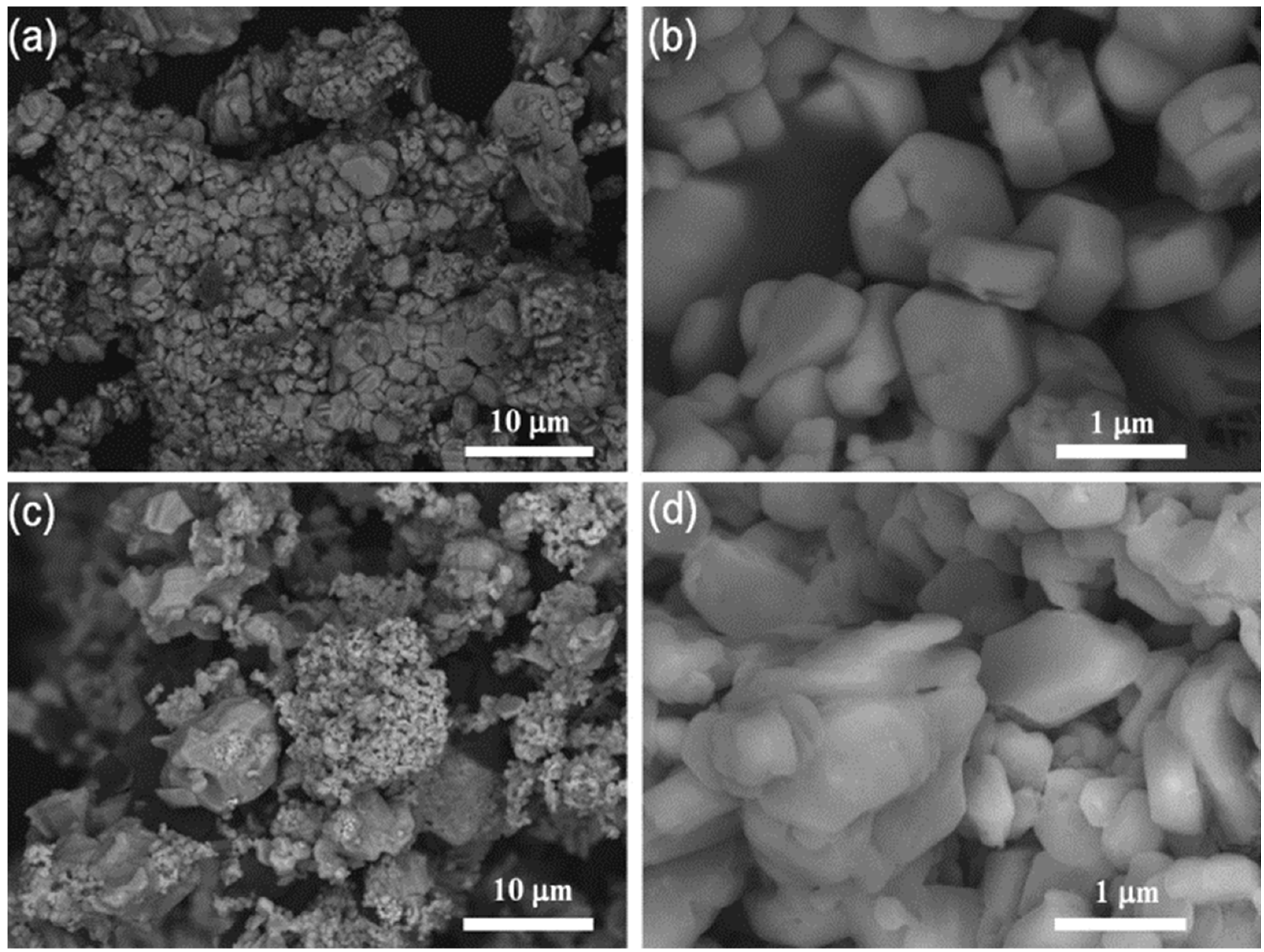 Catalysts 14 00701 g007