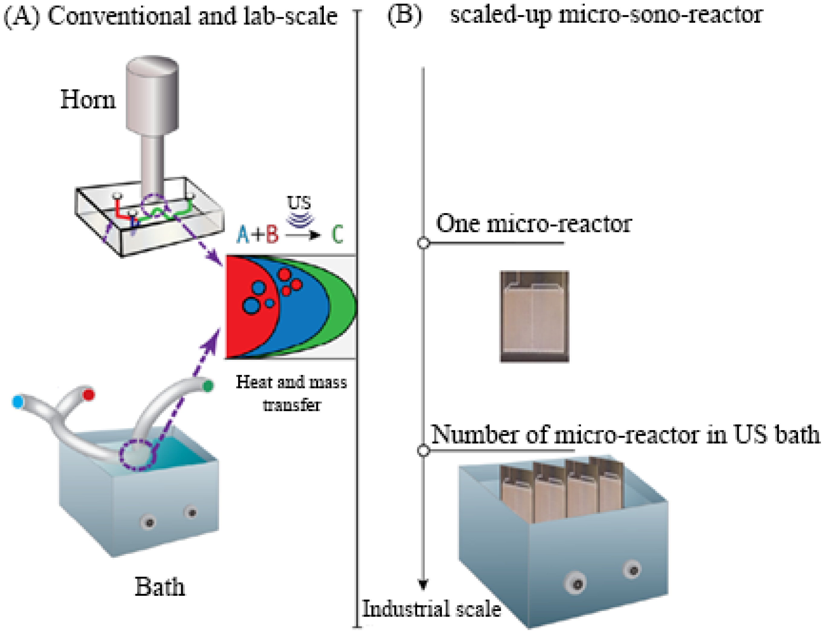 Catalysts 14 00701 g010