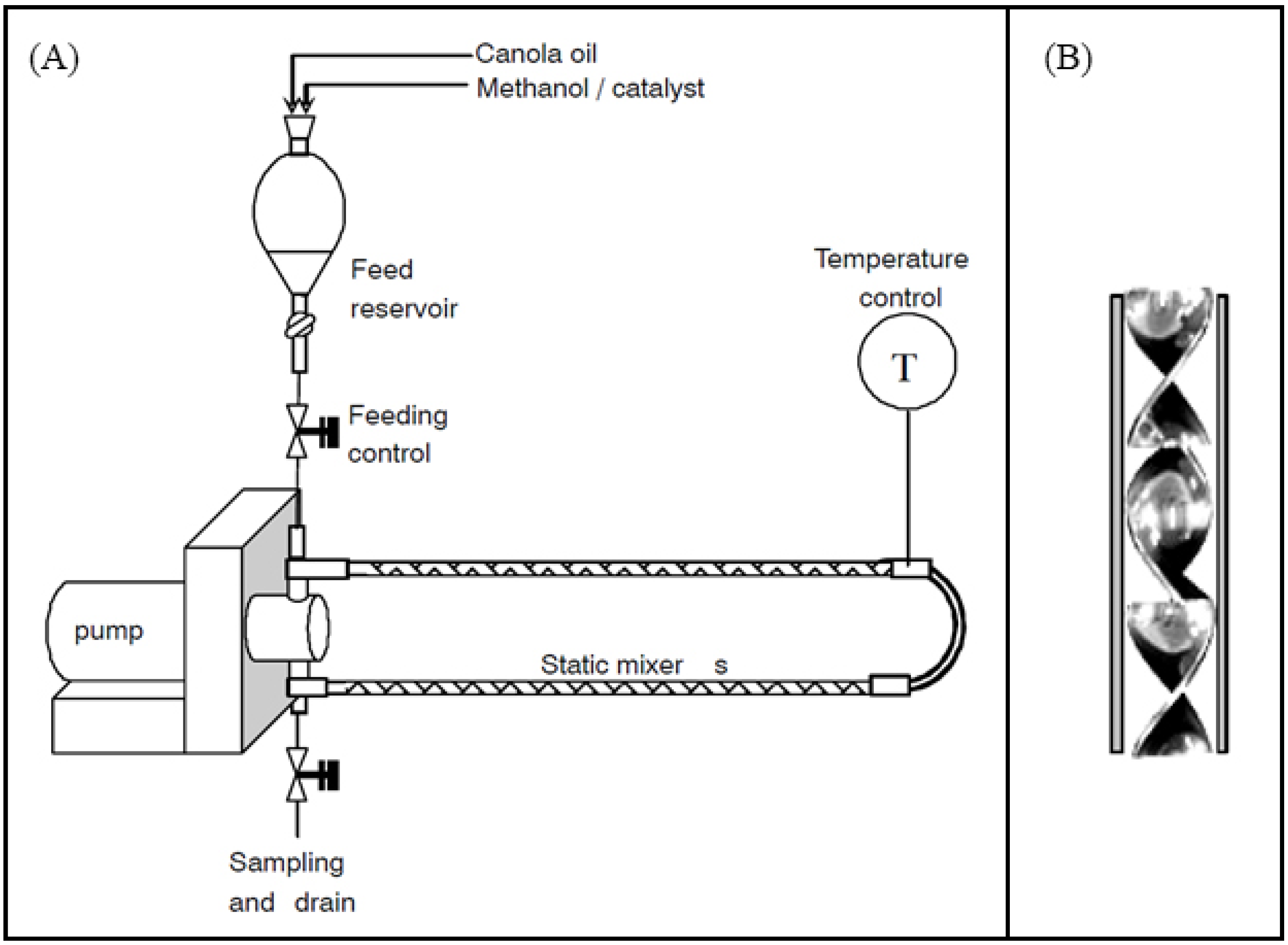Catalysts 14 00701 g012
