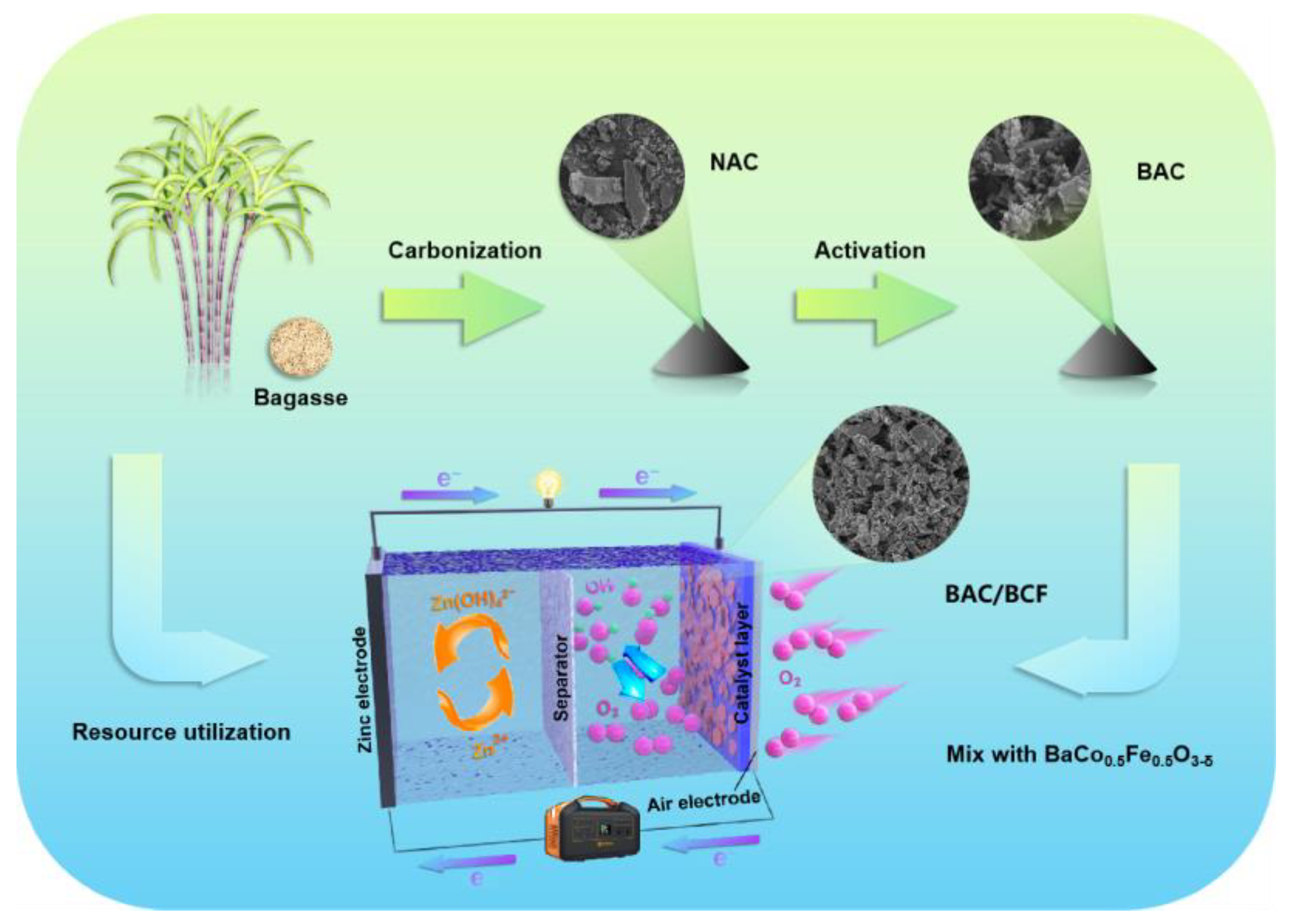 Catalysts 14 00740 g001
