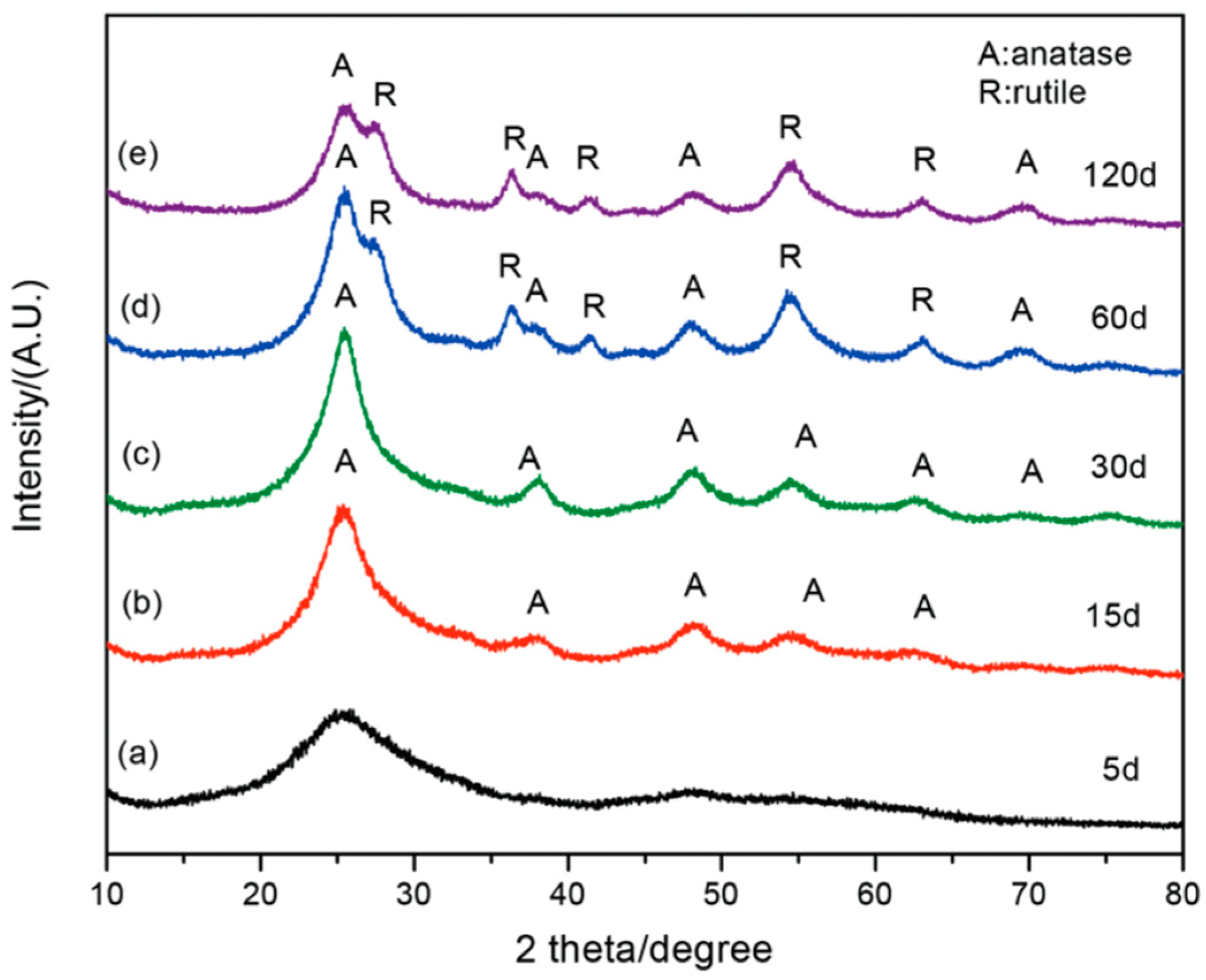 Catalysts 14 00742 g005