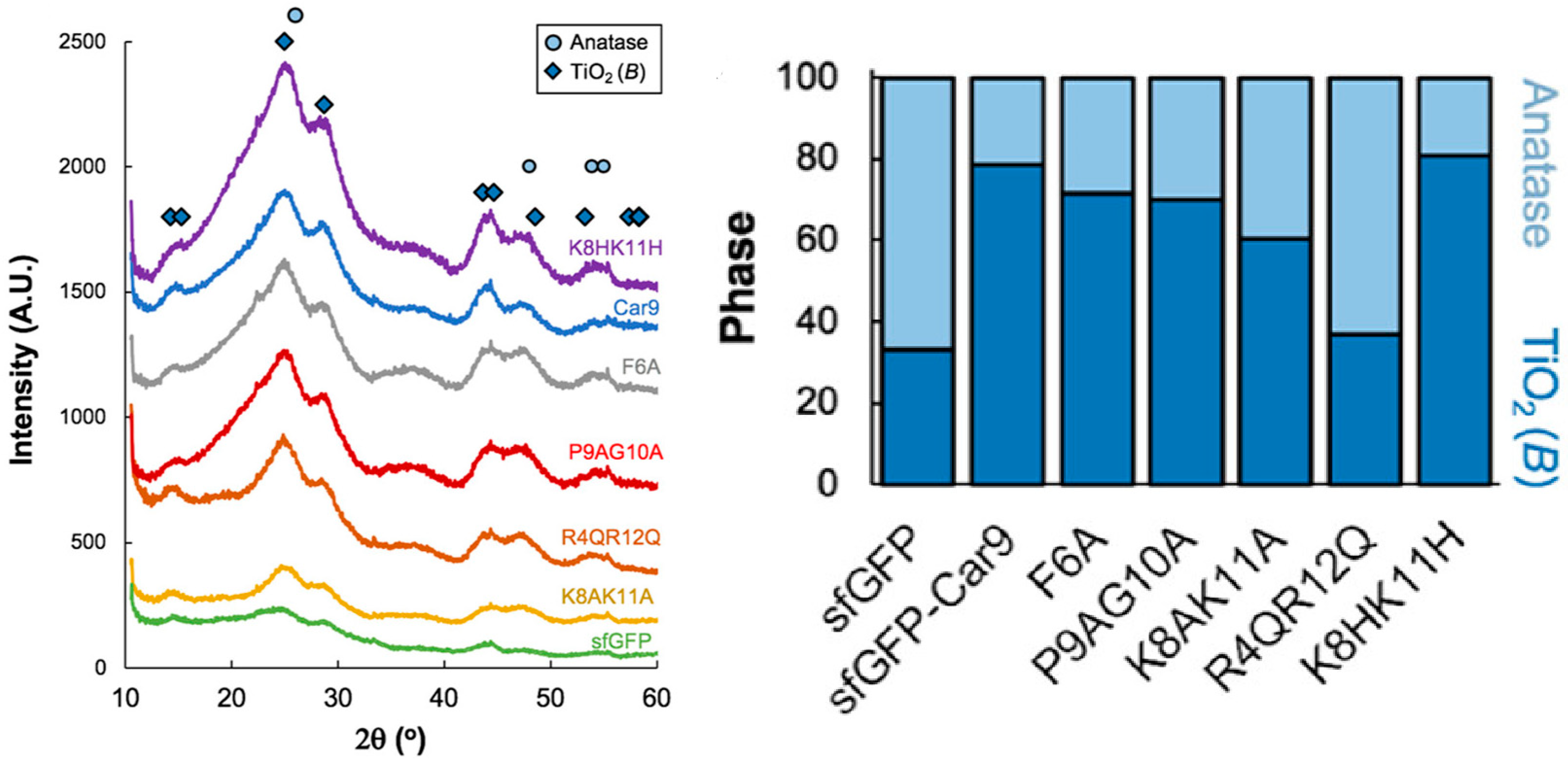 Catalysts 14 00742 g007