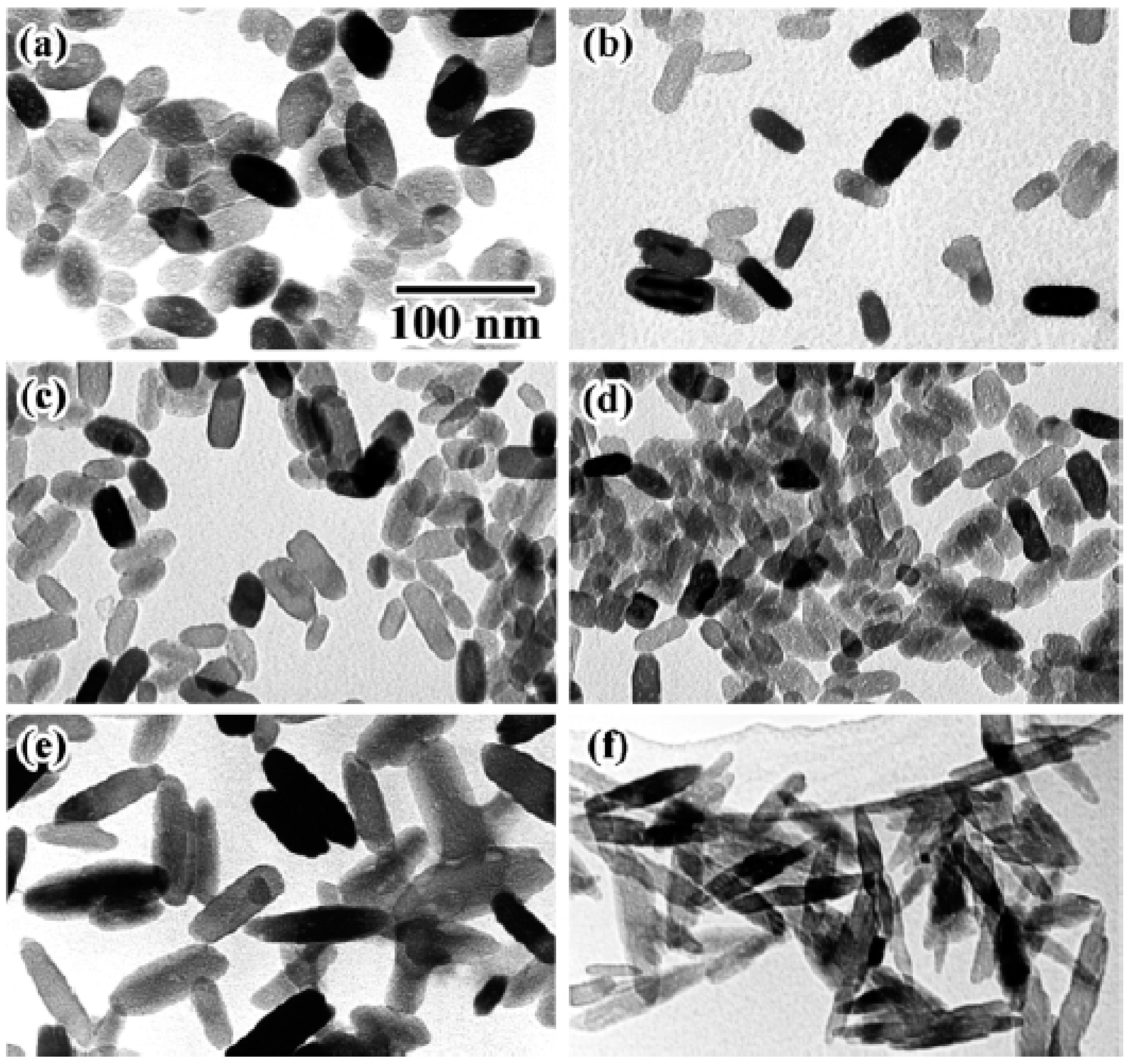 Catalysts 14 00742 g008