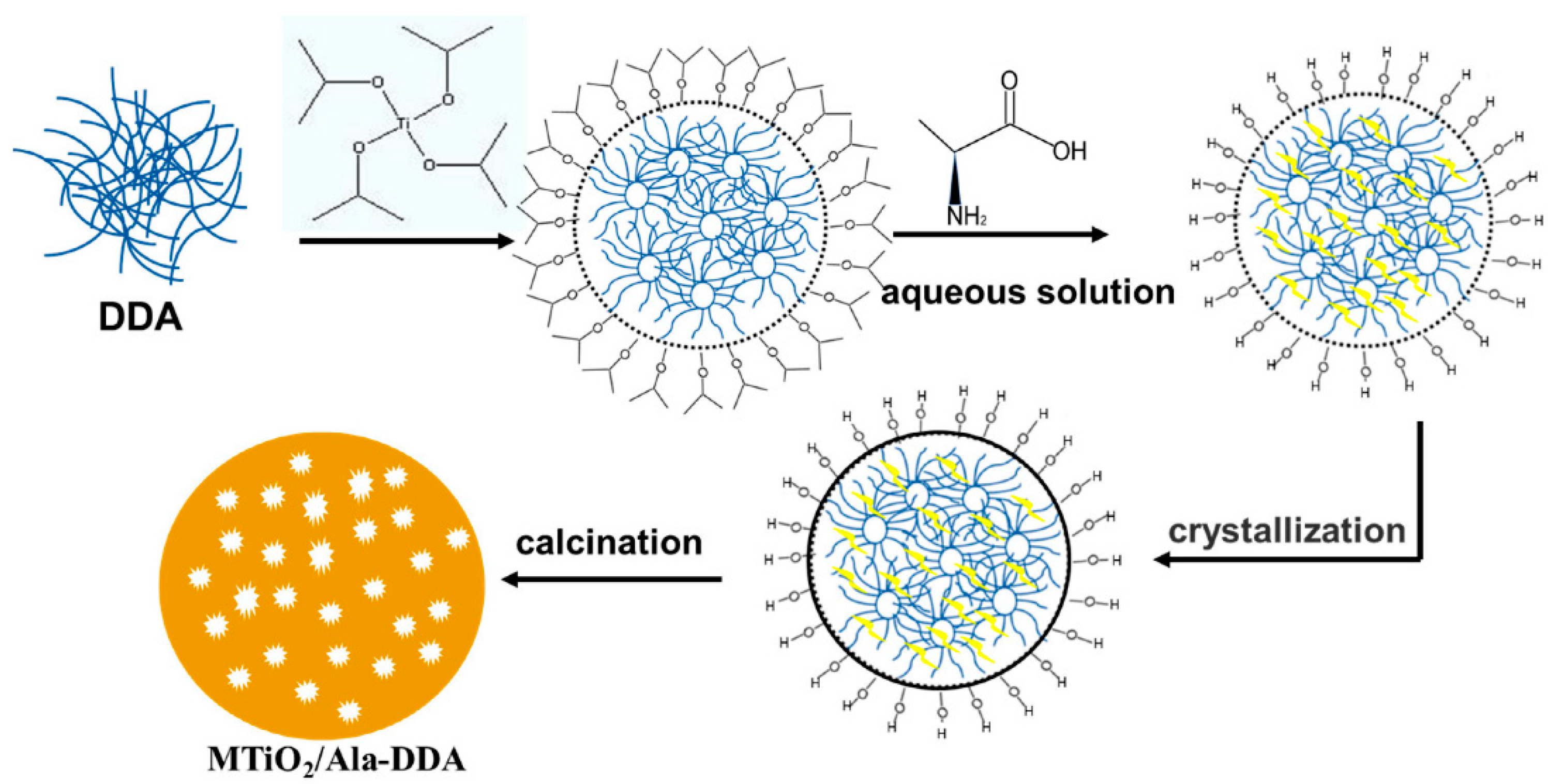 Catalysts 14 00742 g009