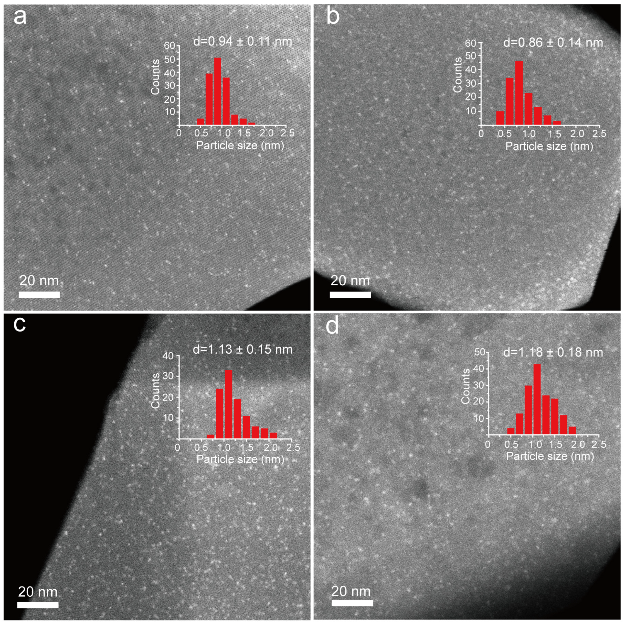 Catalysts 14 00760 g001