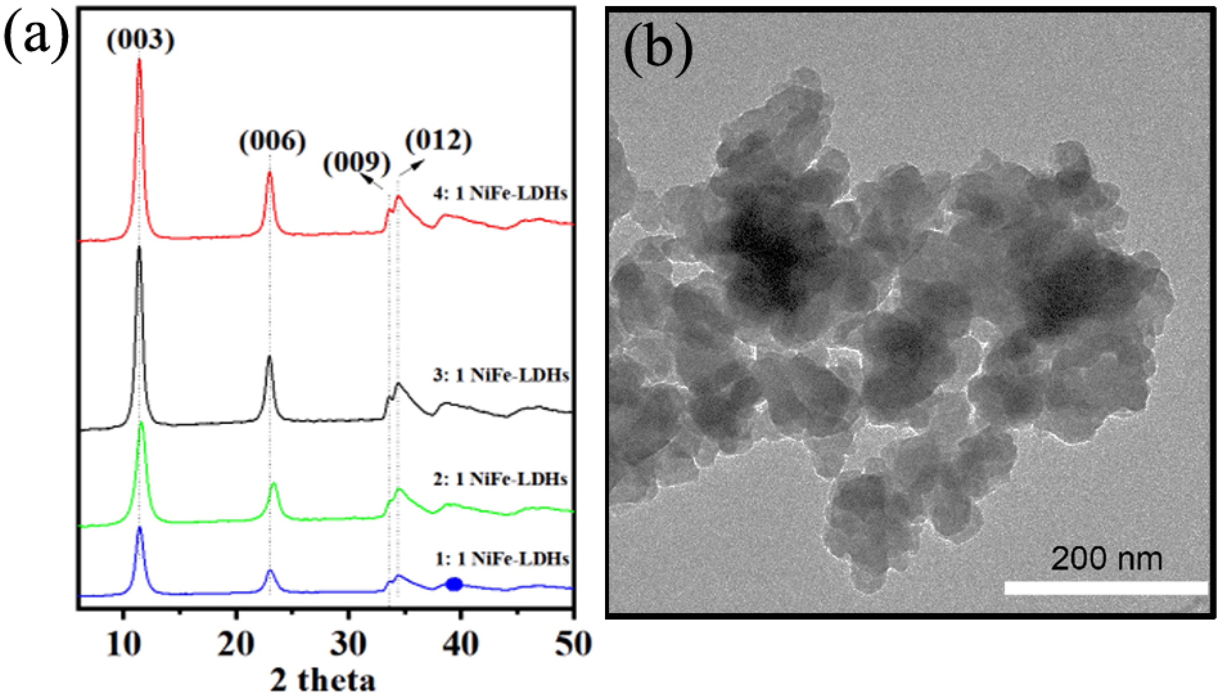 Catalysts 14 00782 g001