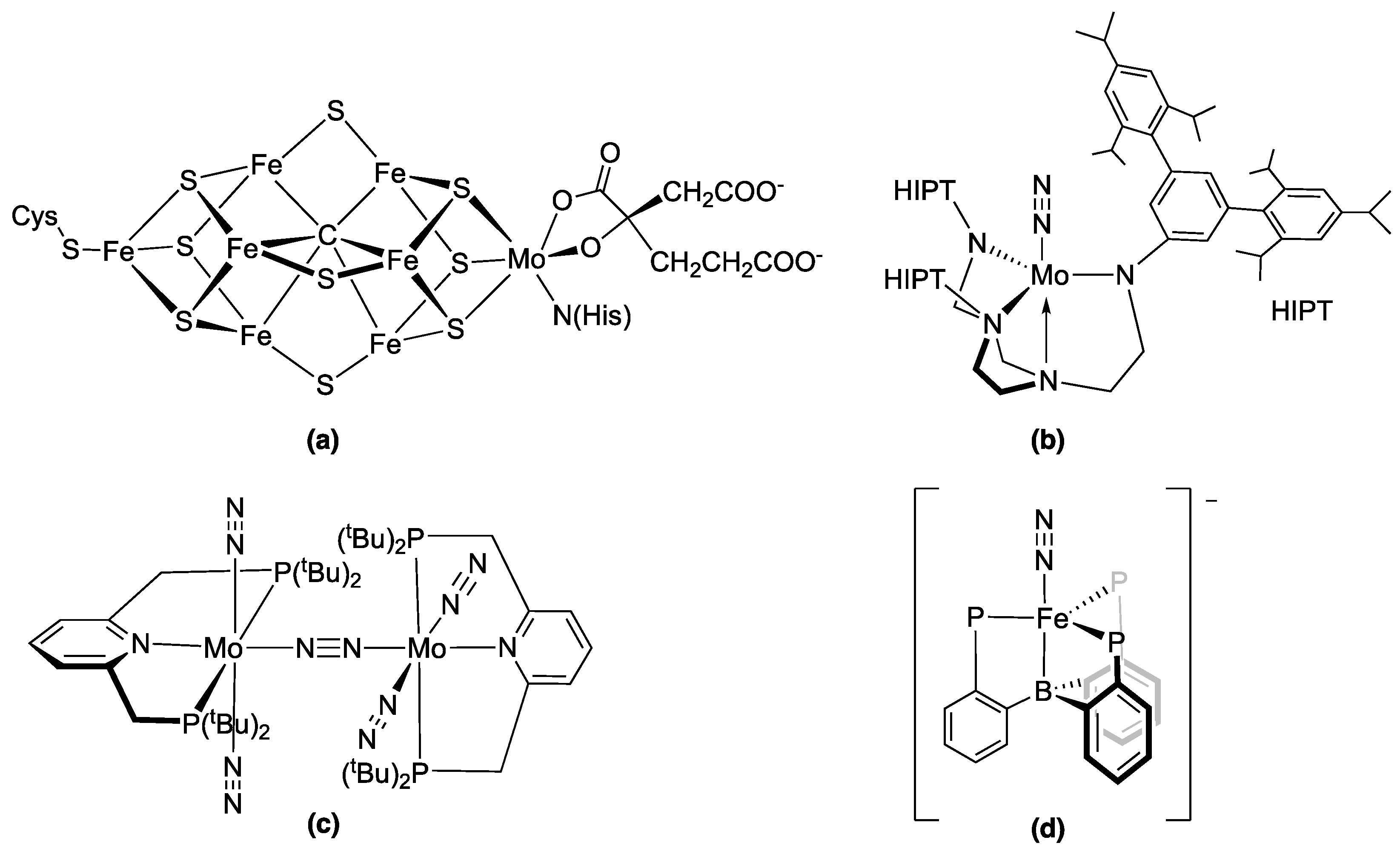 Catalysts 14 00816 g001