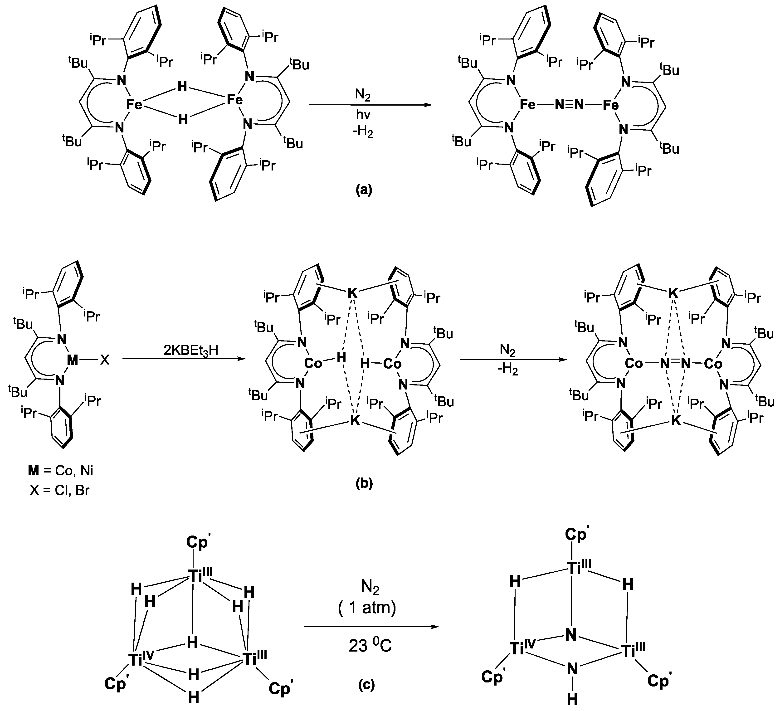 Catalysts 14 00816 g003