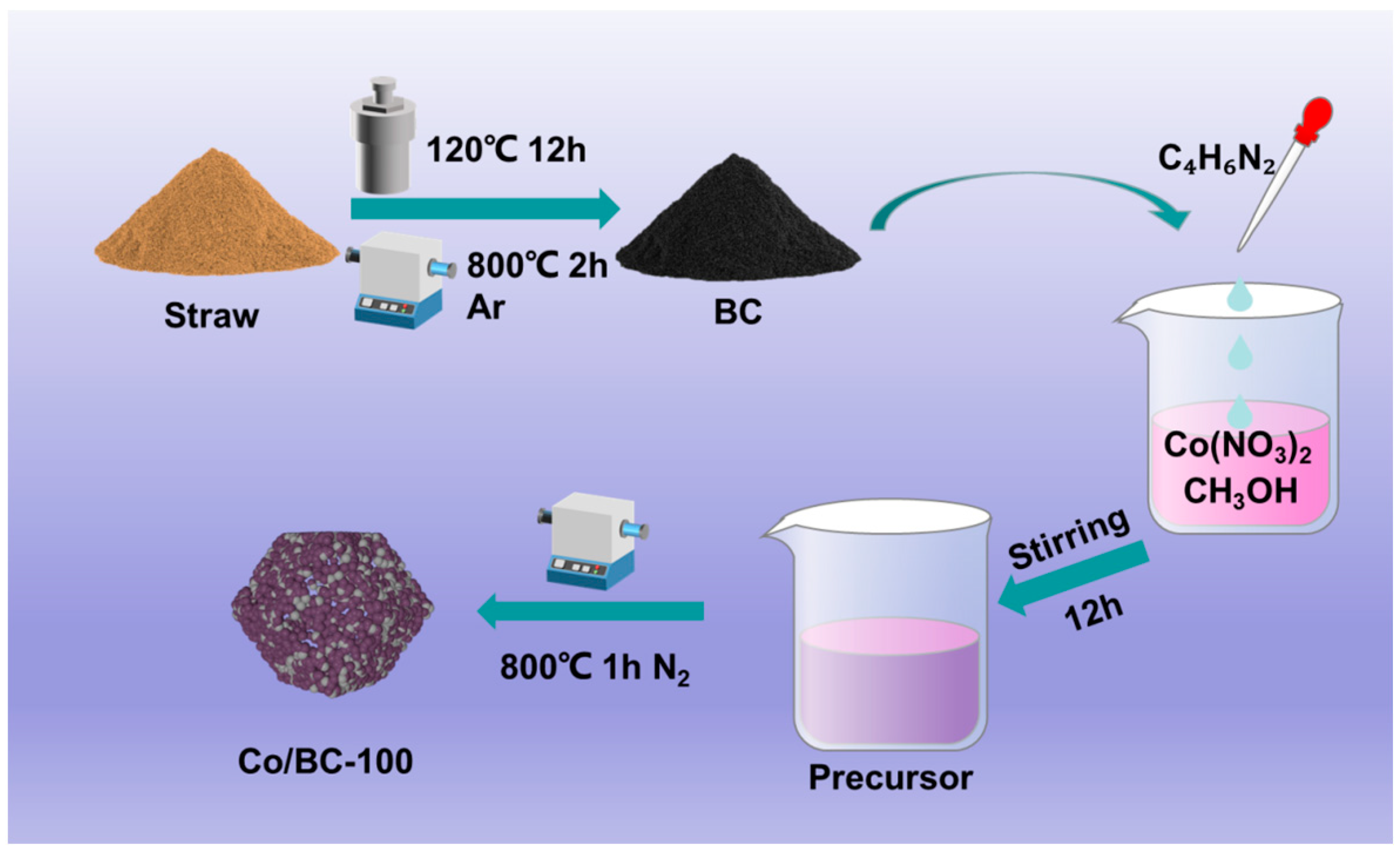 Catalysts 14 00817 g001
