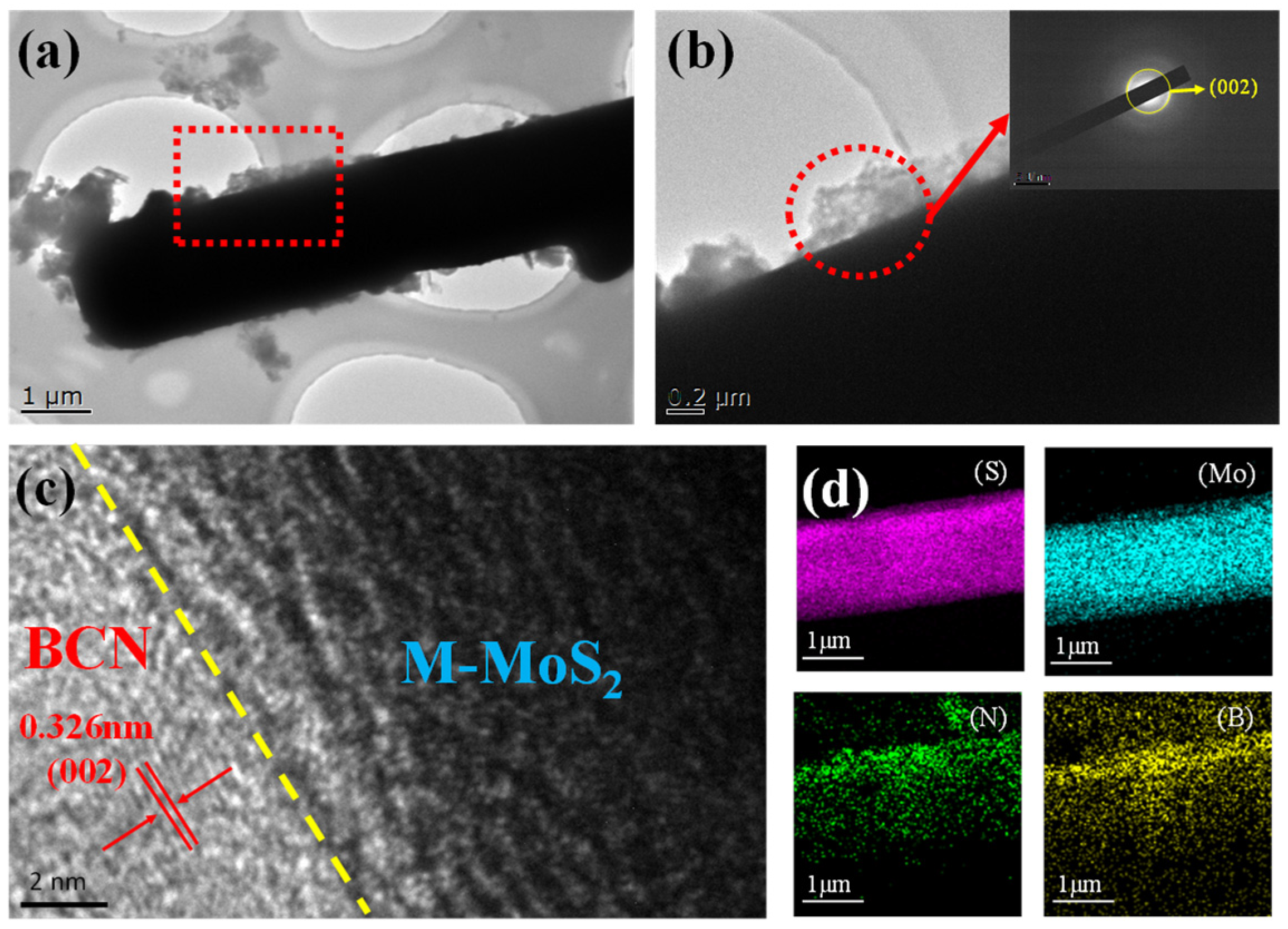 Catalysts 14 00833 g004