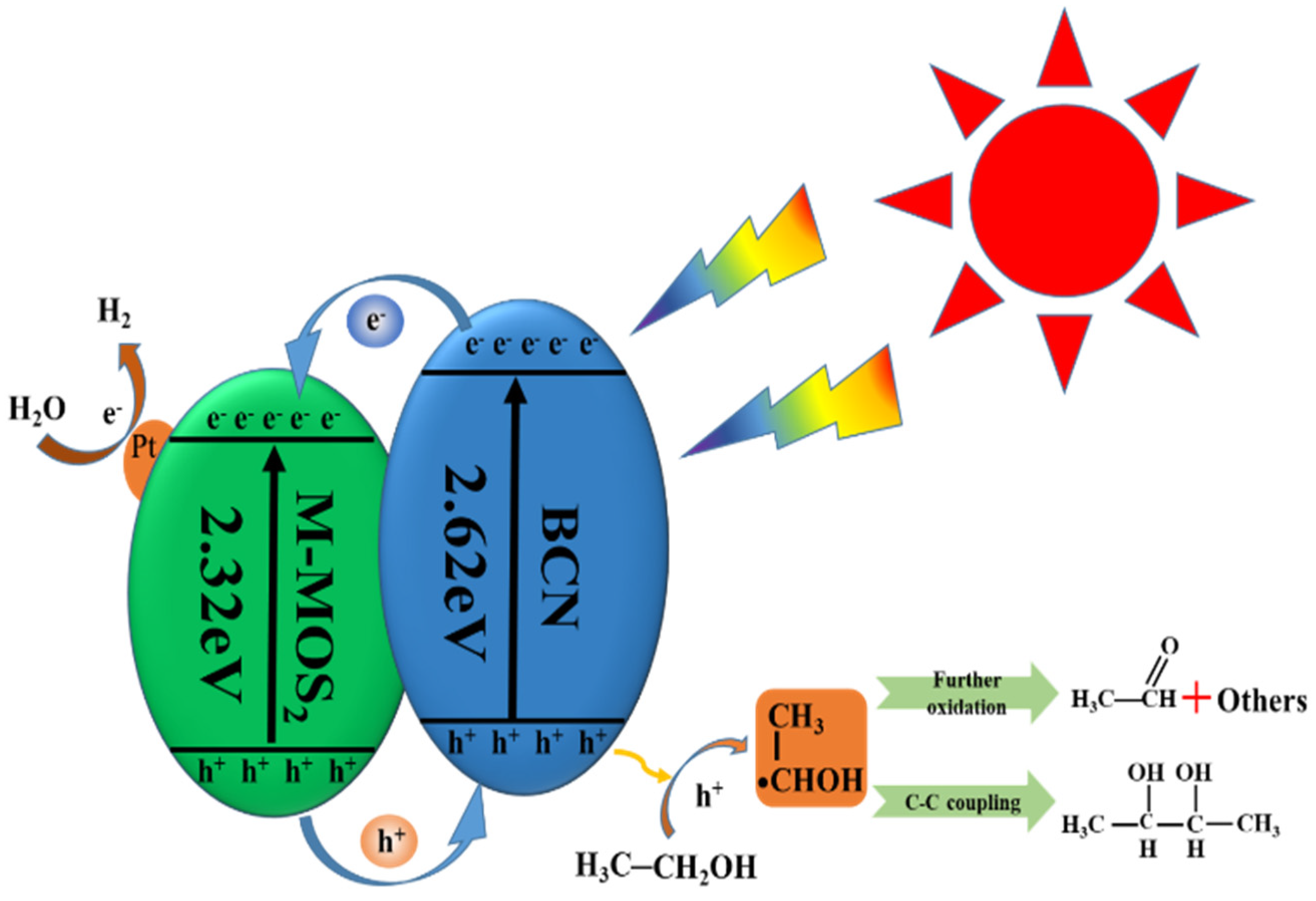 Catalysts 14 00833 g012