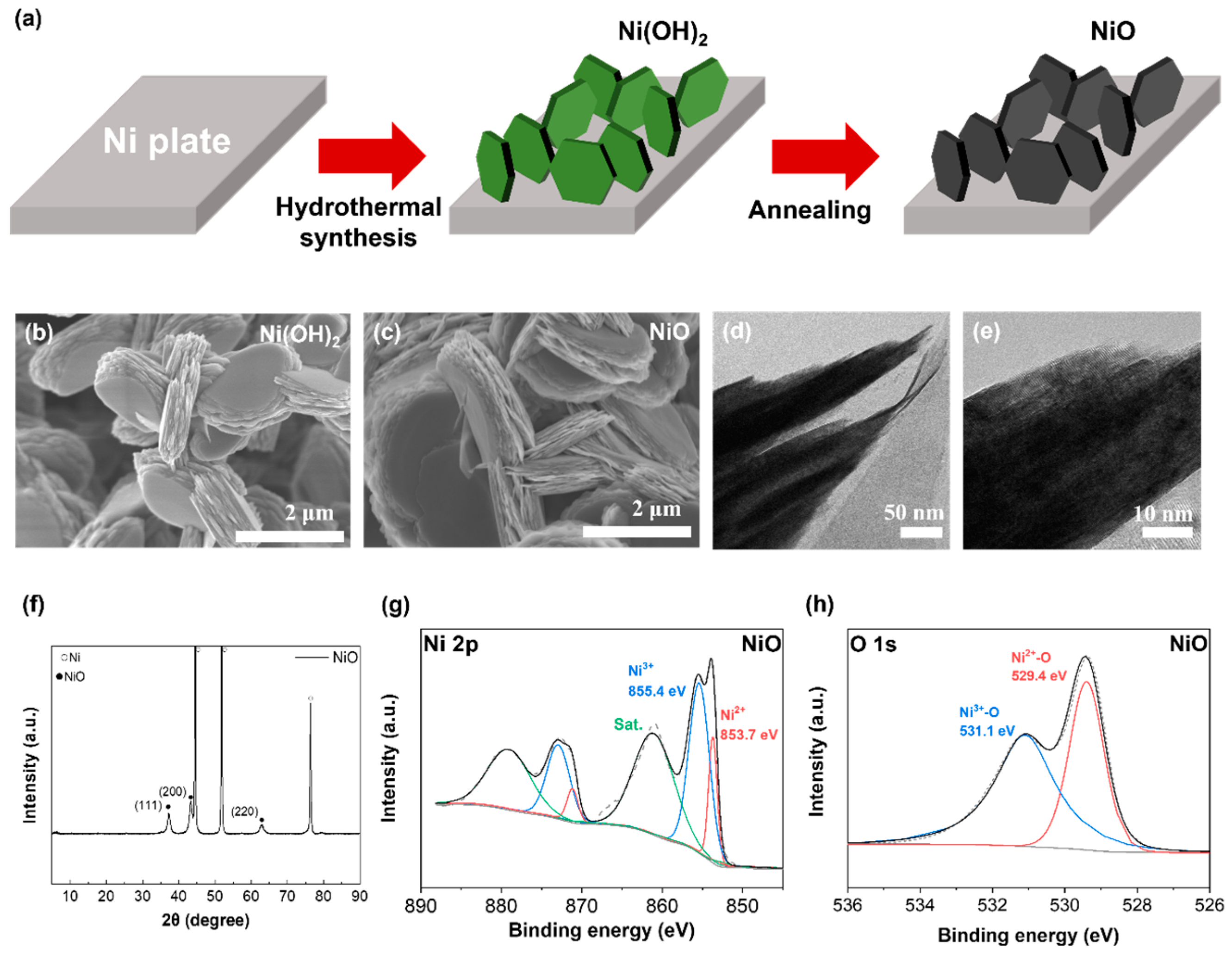 Catalysts 14 00870 g001