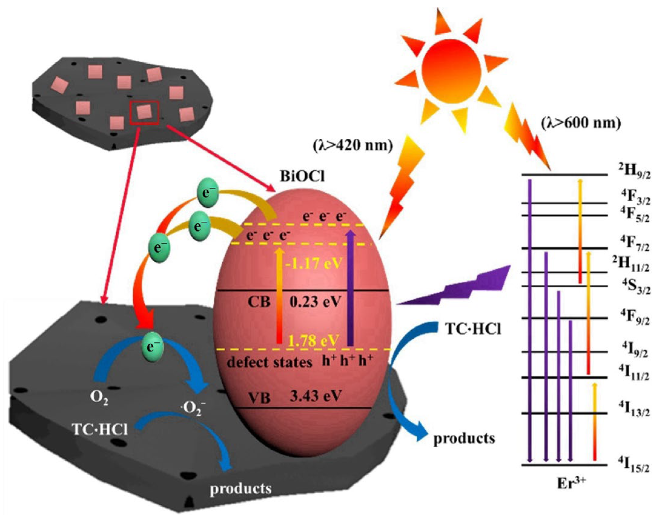 Catalysts 14 00874 g009
