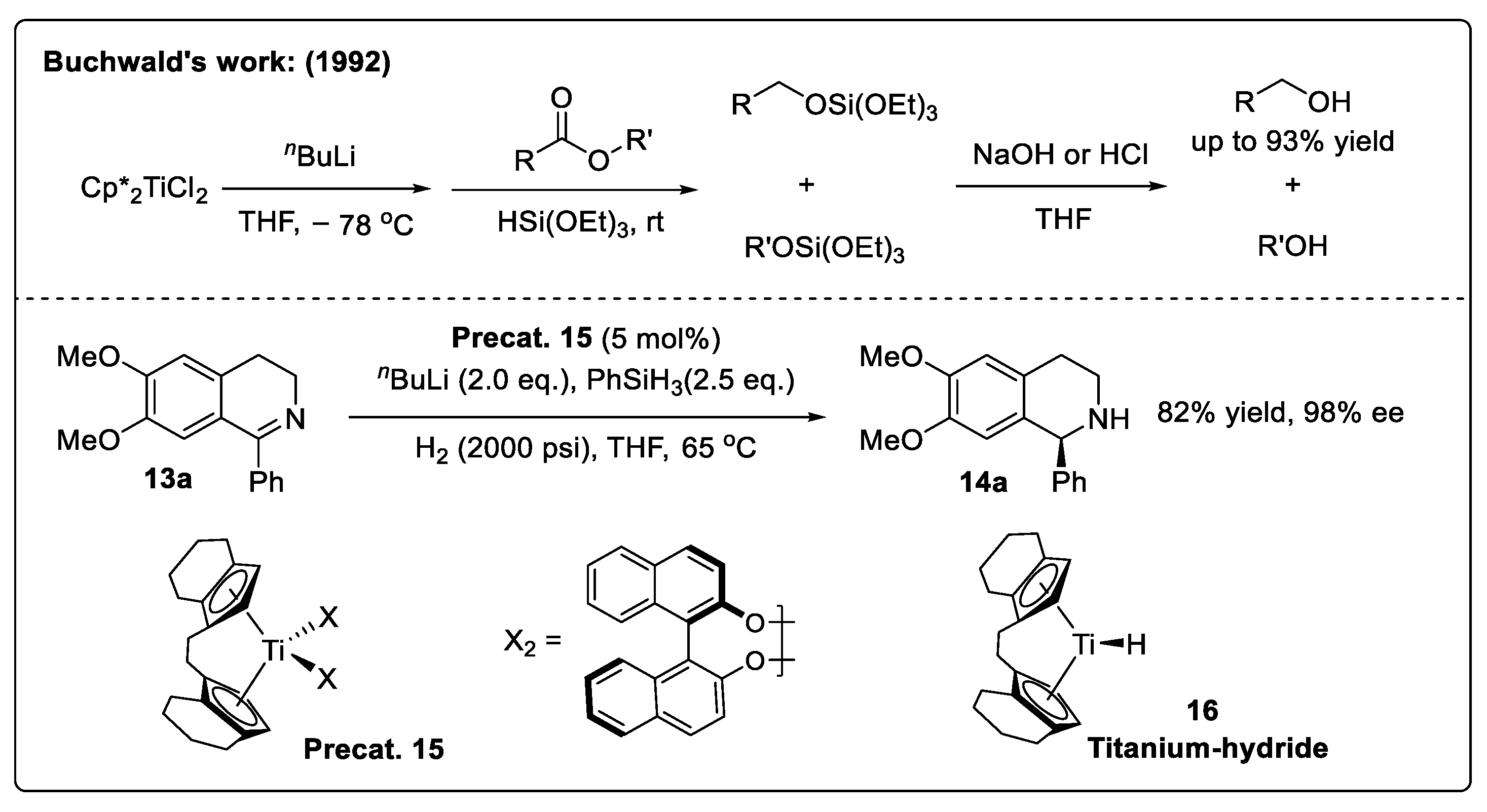 Catalysts 14 00884 sch002