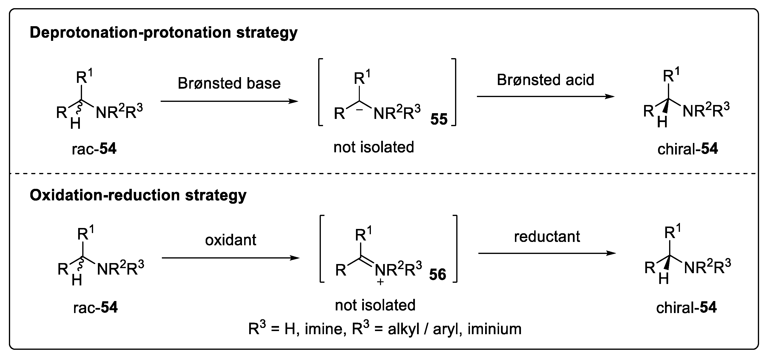 Catalysts 14 00884 sch029