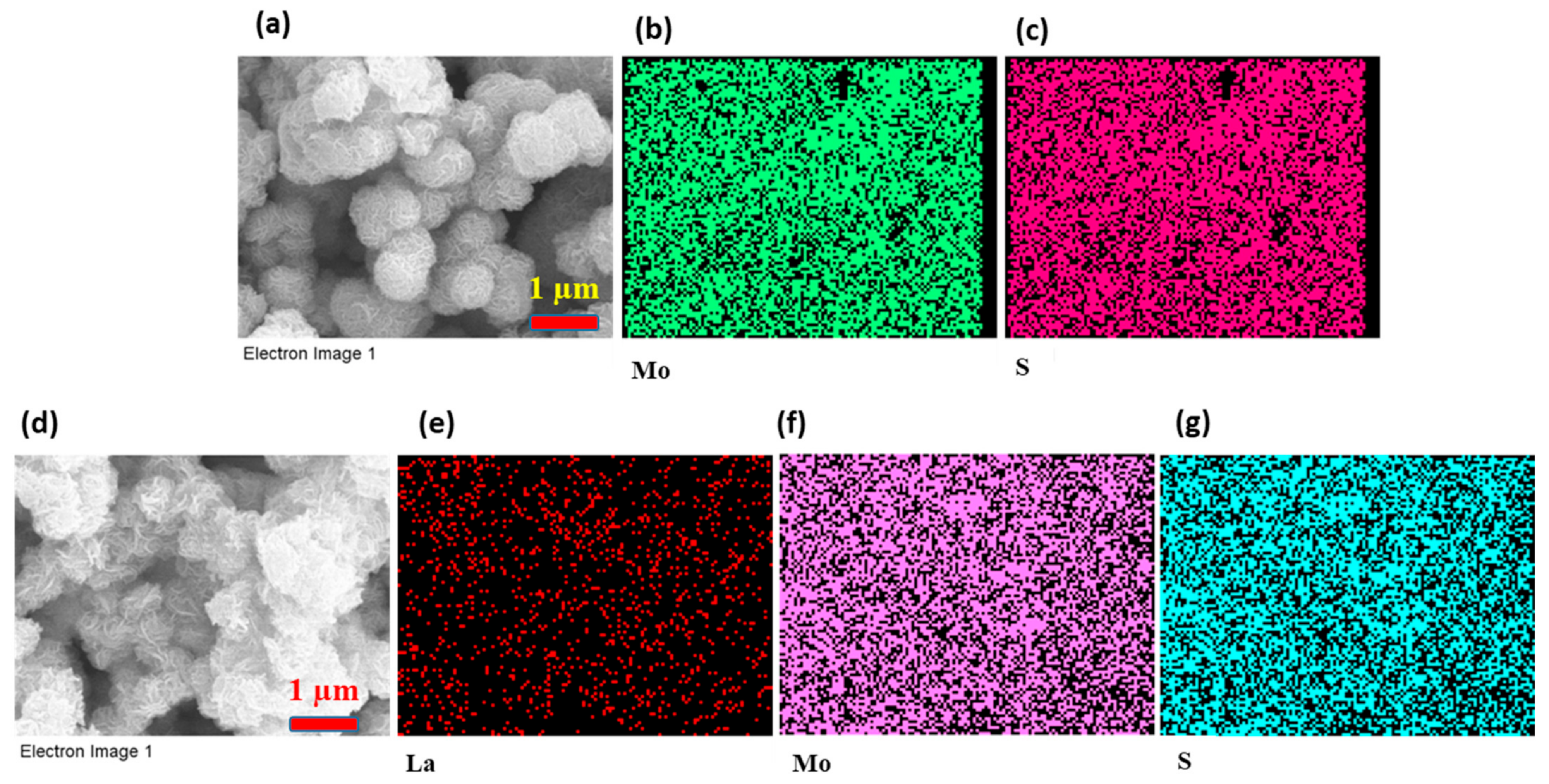 Catalysts 14 00893 g003