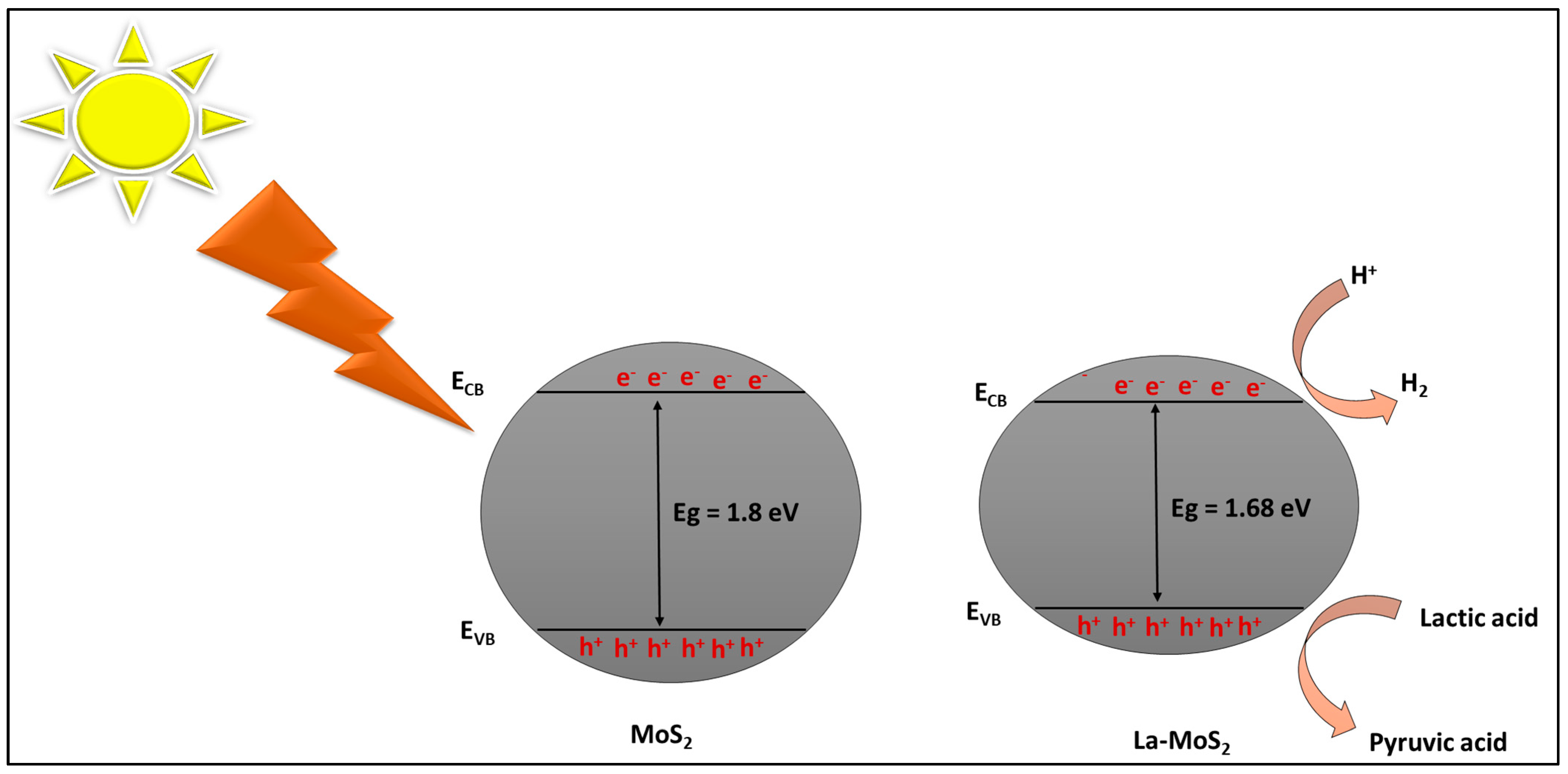 Catalysts 14 00893 sch001