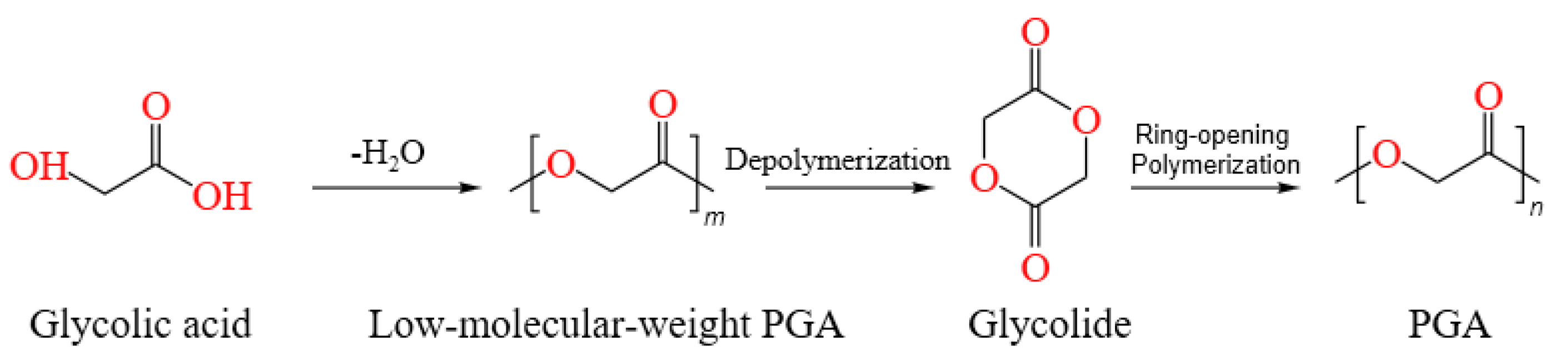 Catalysts 14 00903 g004