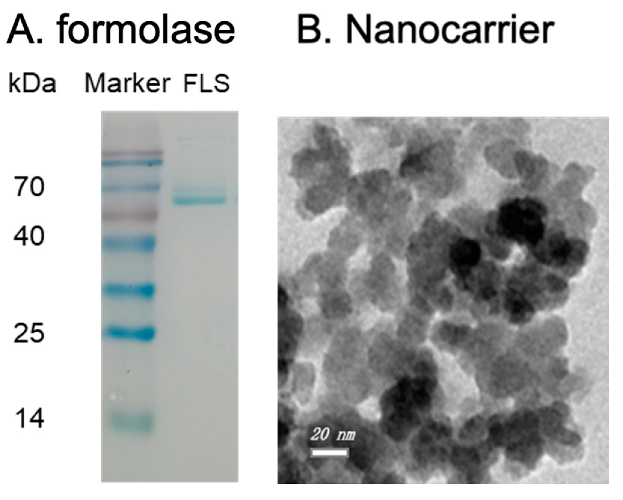 Catalysts 14 00911 g001