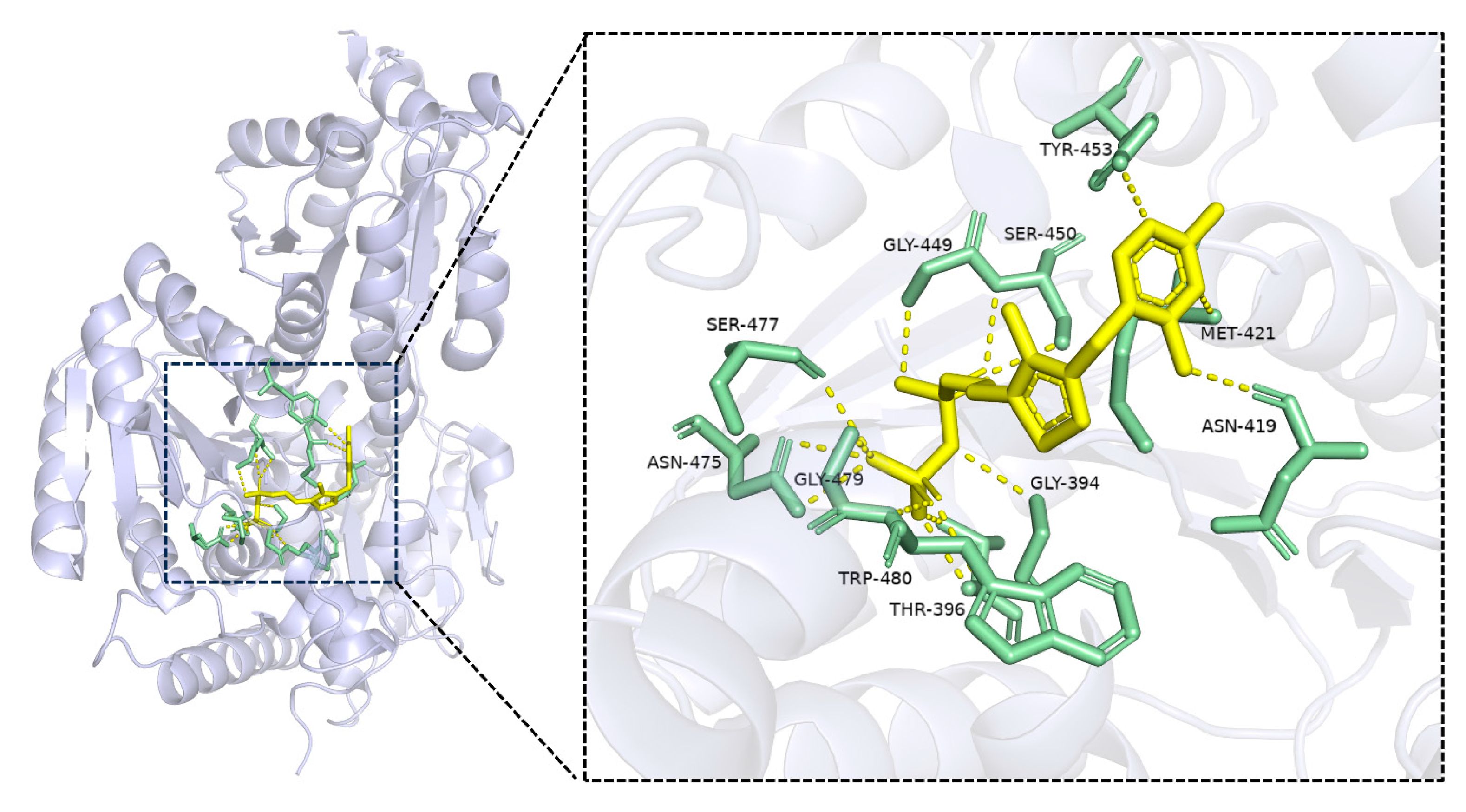 Catalysts 14 00911 g003