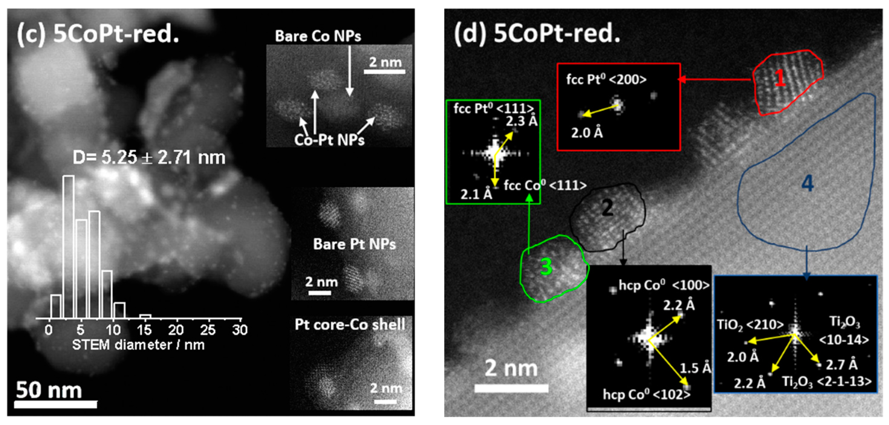 Catalysts 14 00922 g002b